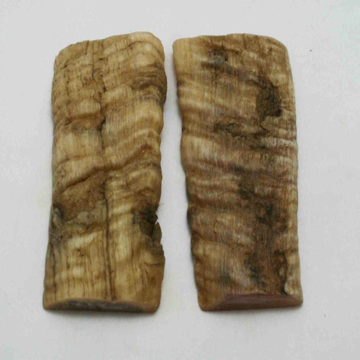 NB901NAM41 Merino Ram&#39;s Horn Flat Block Scales