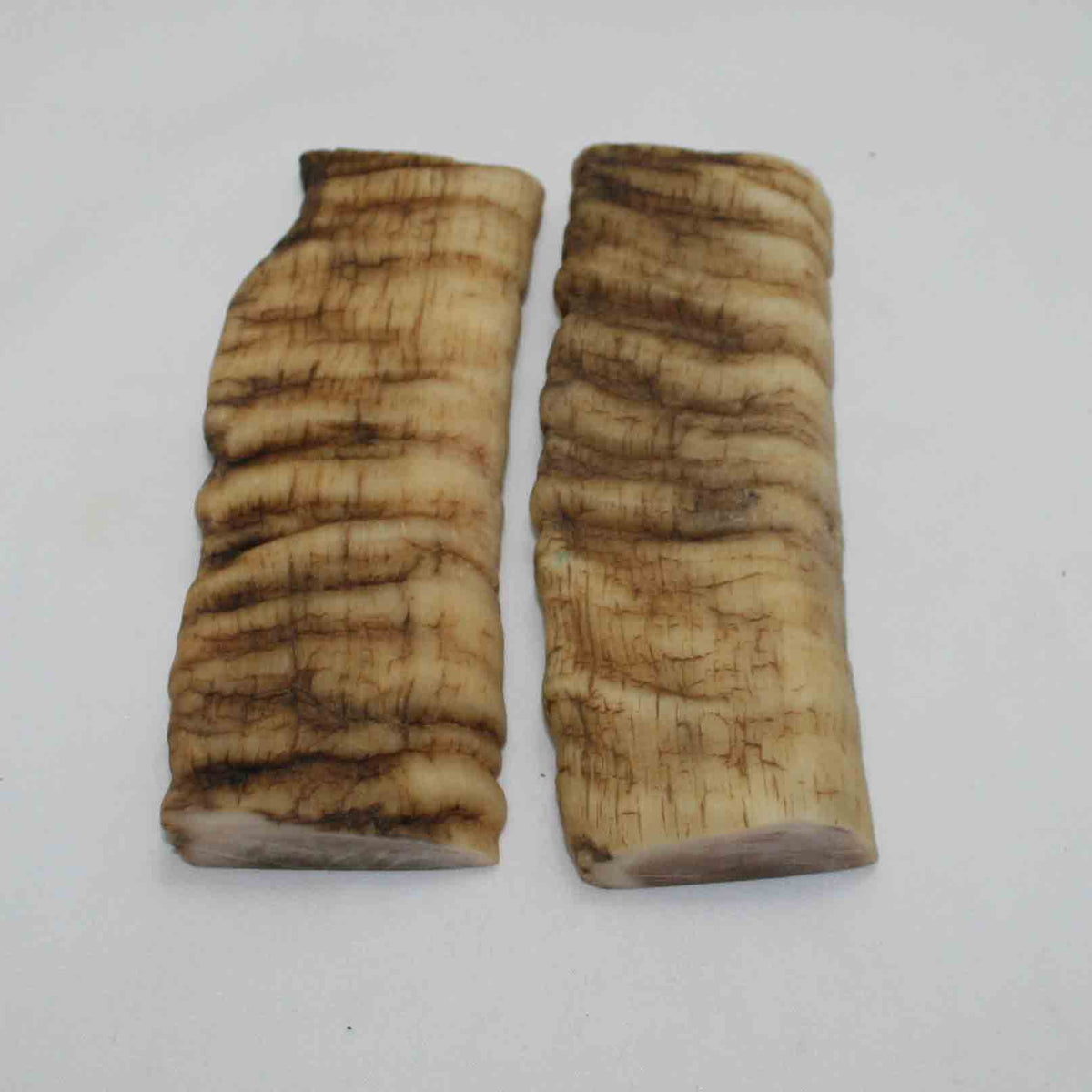 NB901NAM46 Merino Ram&#39;s Horn Flat Block Scales