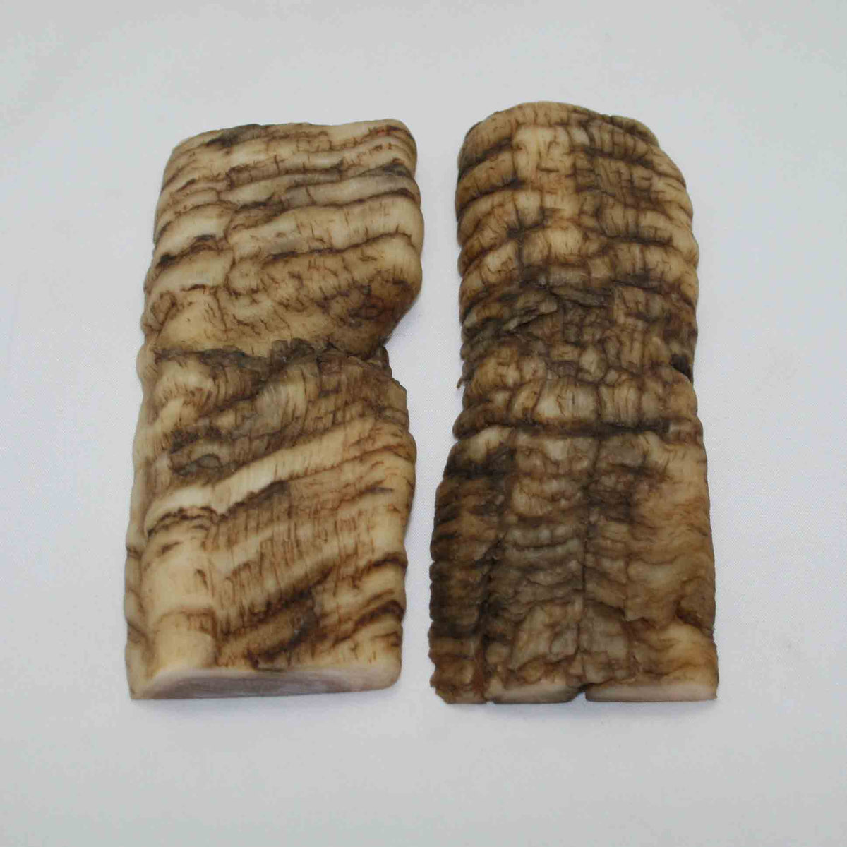 NB901NAM4 Merino Ram&#39;s Horn Flat Block Scales