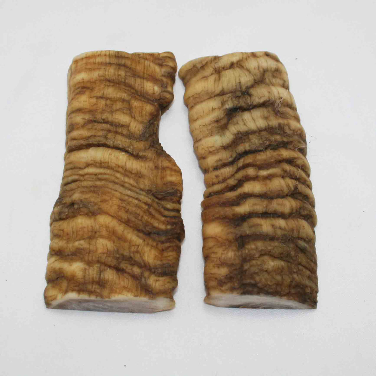 NB901NAM51 Merino Ram&#39;s Horn Flat Block Scales