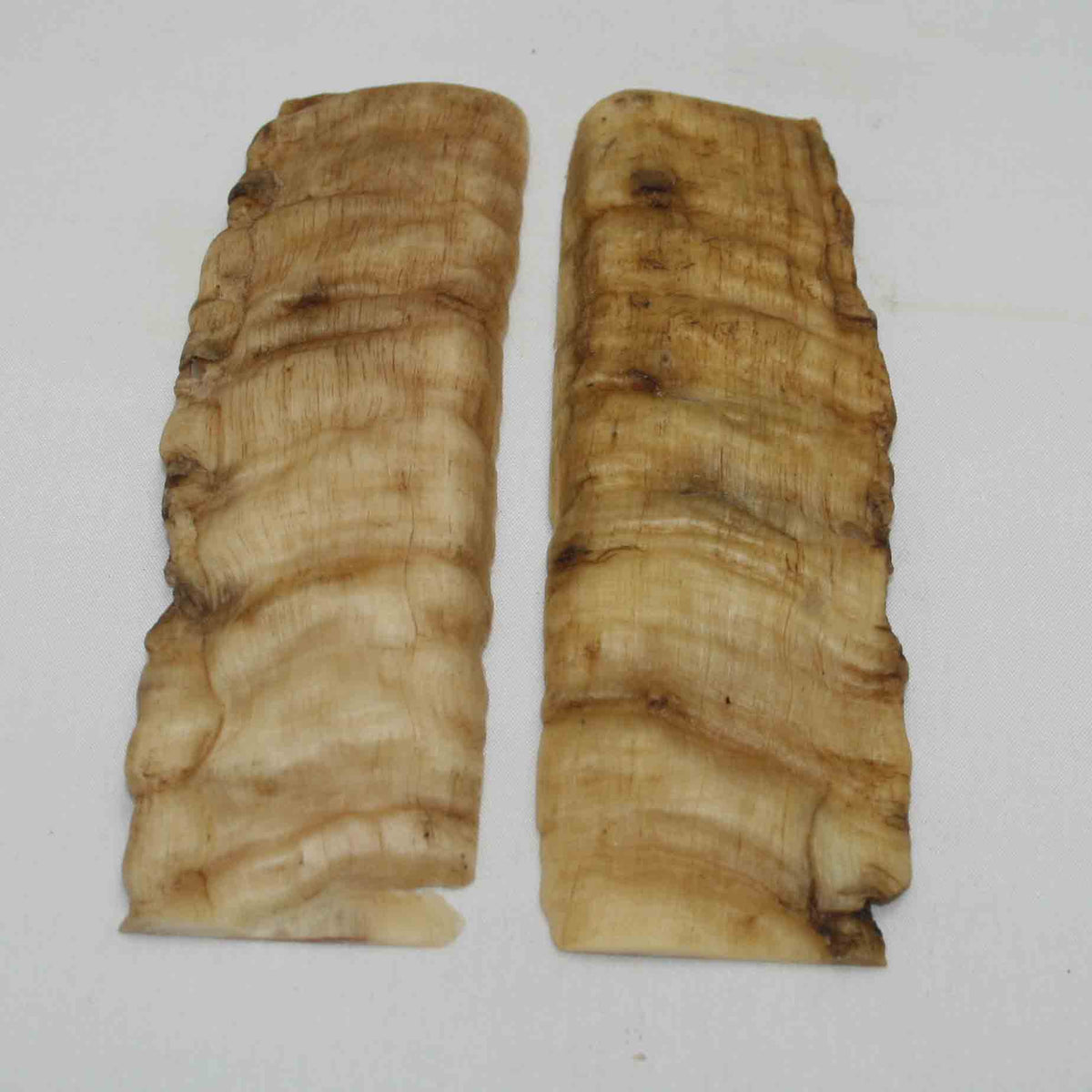 NB901NA17 Merino Ram's Horn Flat Block Scales Size 5.55" x 1.89" x 0.24" inch