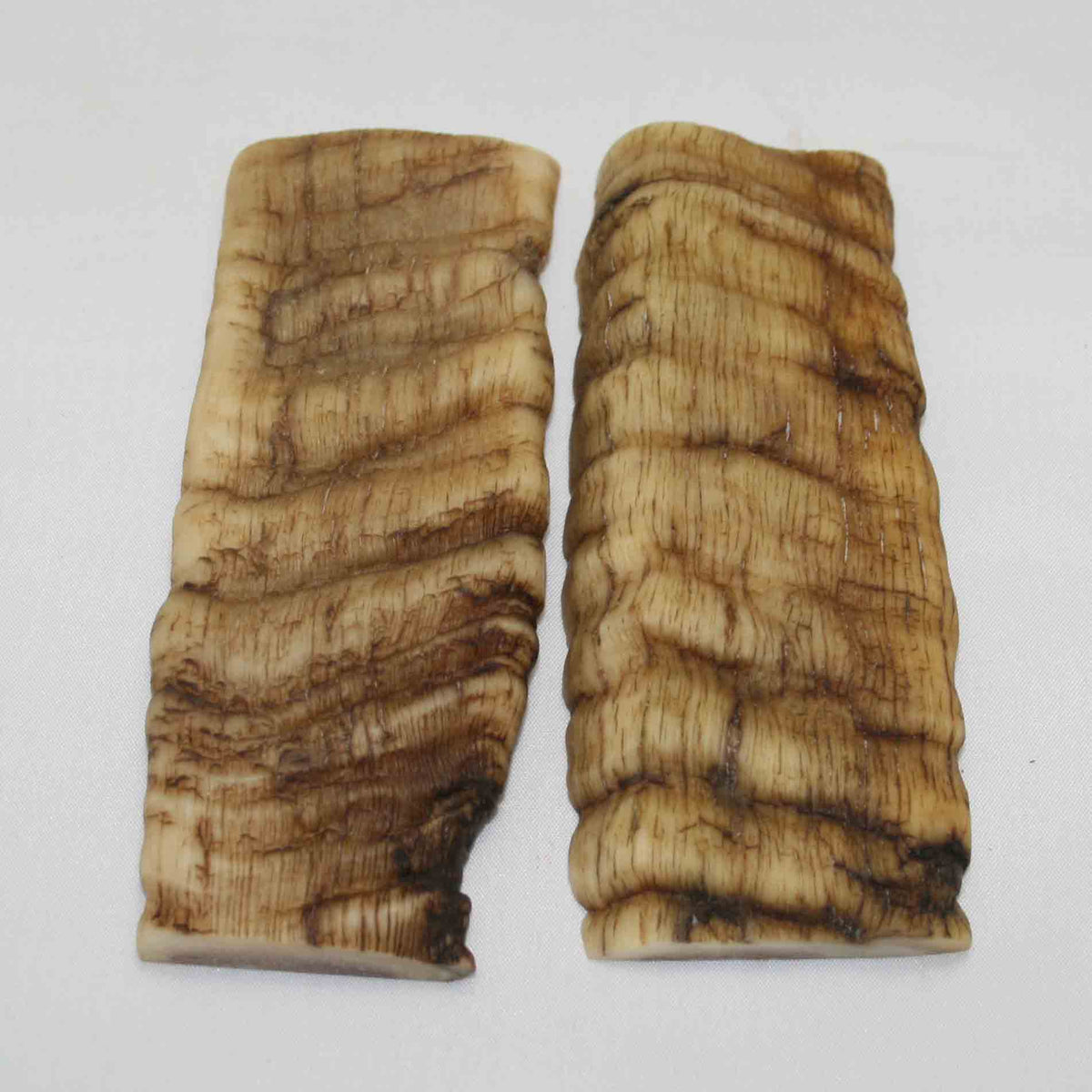 NB901NA1 Merino Ram's Horn Flat Block Scales Size 4.72" x 1.85" x 0.39" inch