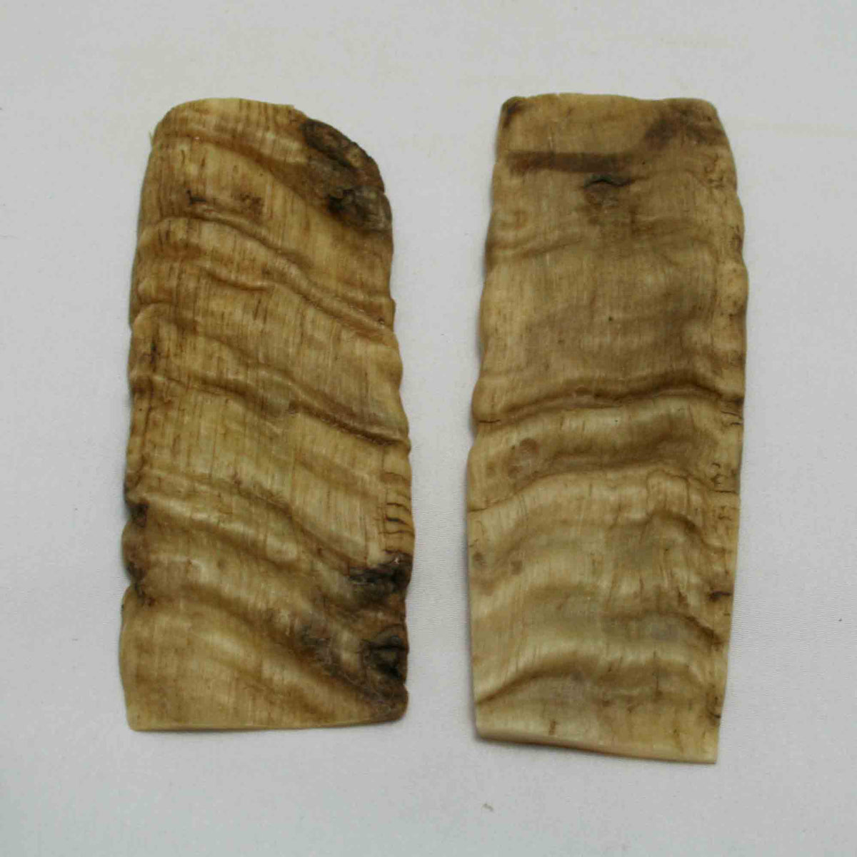 NB901NA21 Merino Ram's Horn Flat Block Scales Size 5.19" x 1.84" x 0.21" inch