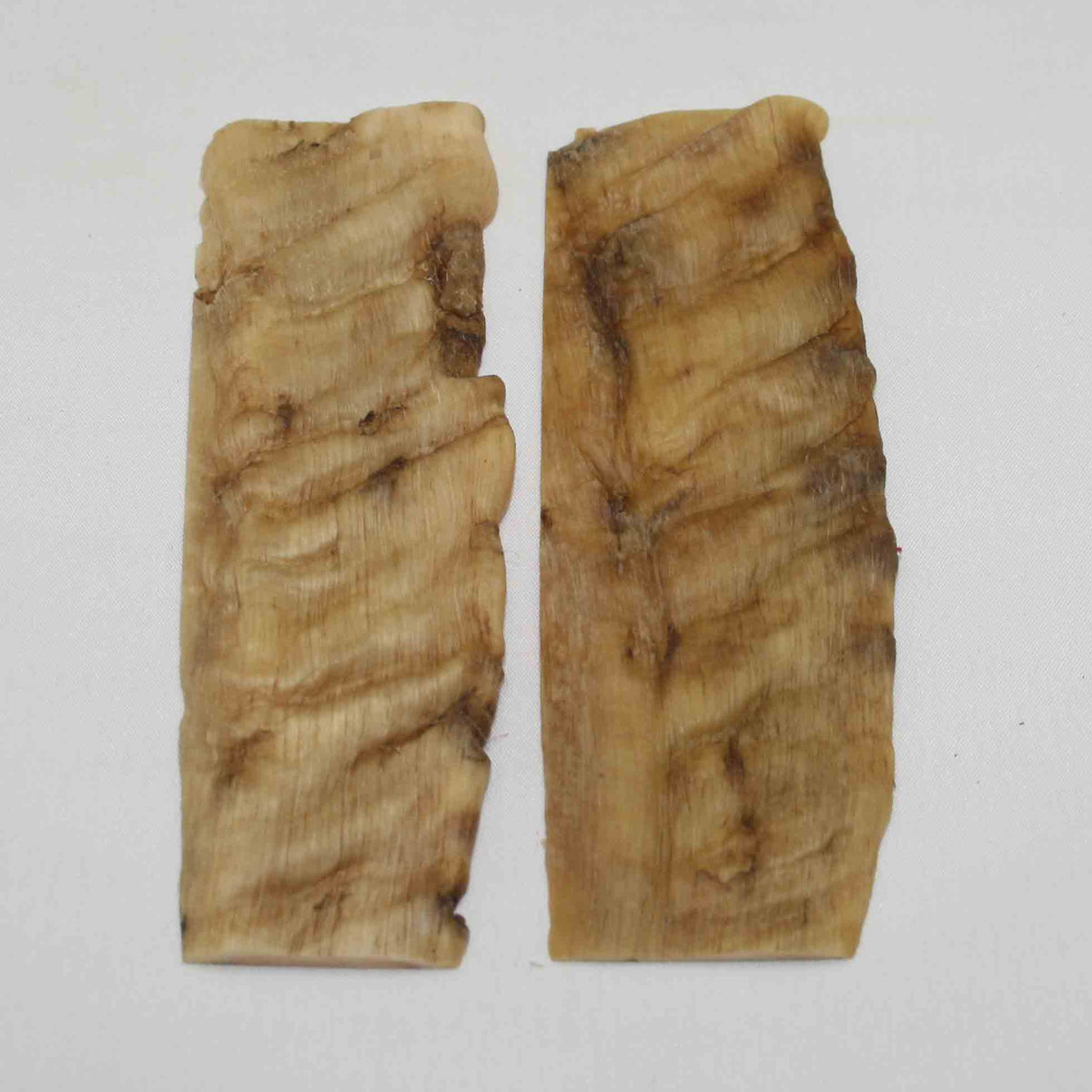 NB901NA26 Merino Ram's Horn Flat Block Scales Size 5.35" x 1.86" x 0.13" inch