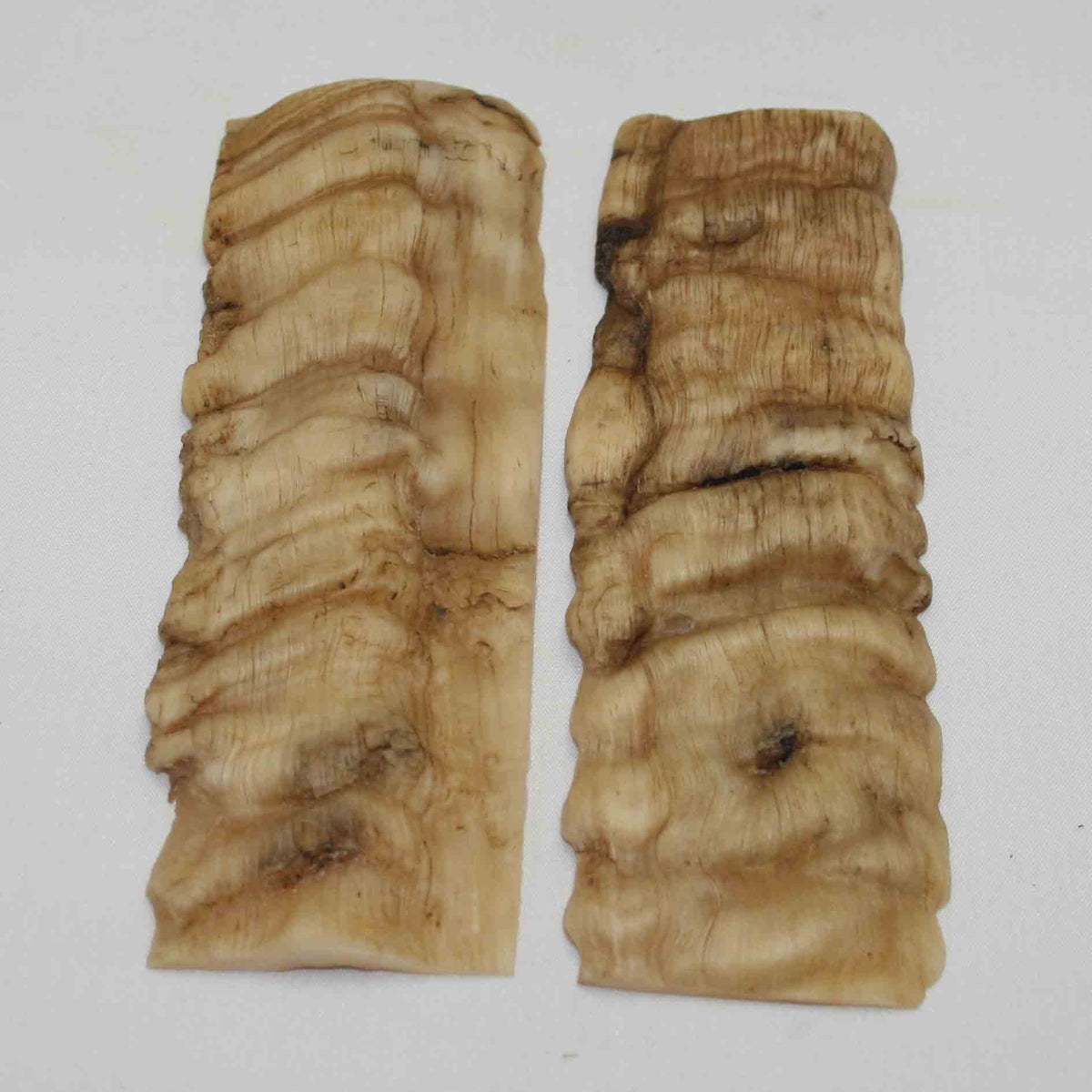 NB901NA27 Merino Ram's Horn Flat Block Scales Size 5.44" x 1.85" x 0.20" inch