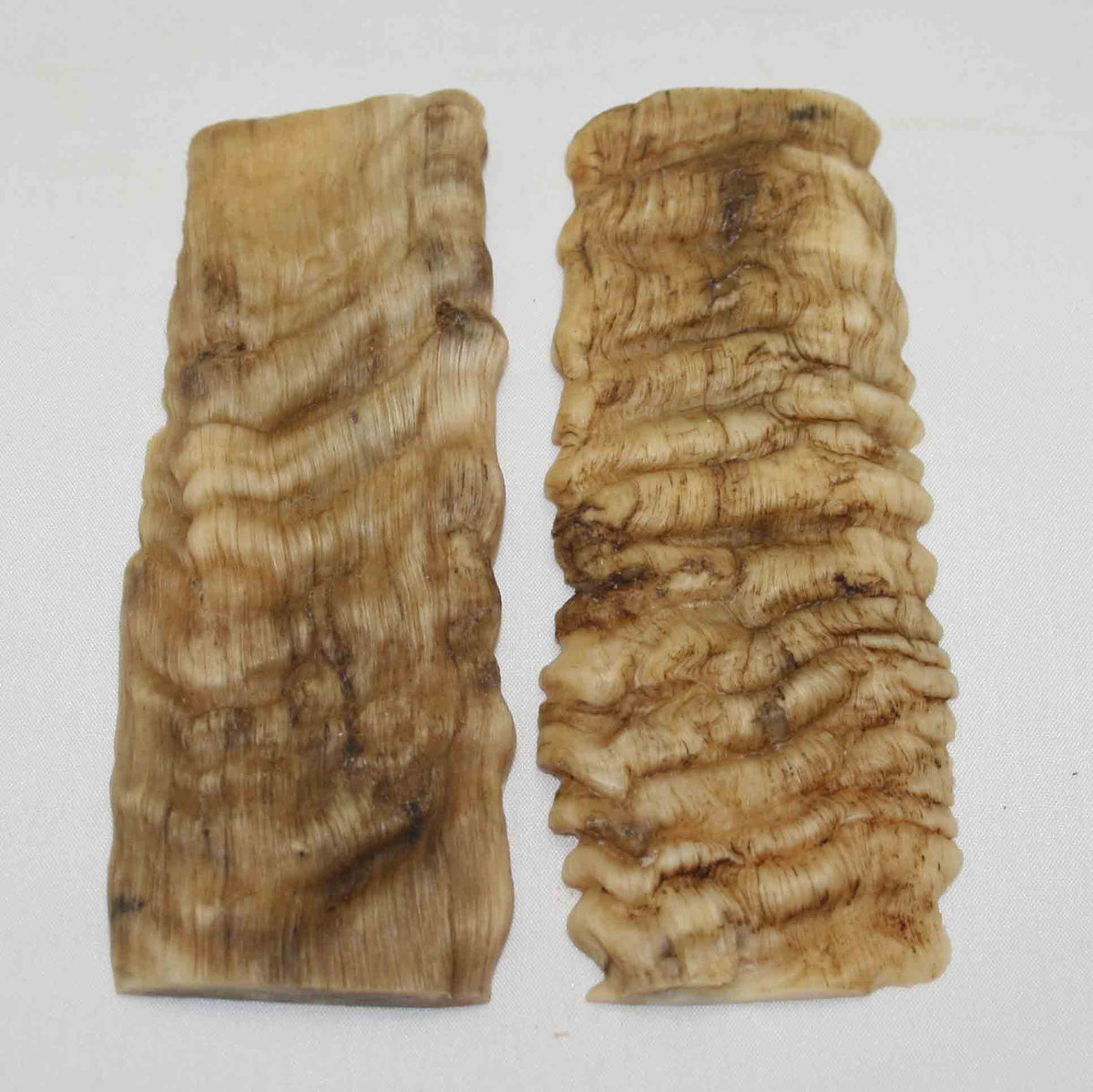 NB901NA28 Merino Ram's Horn Flat Block Scales Size 5.18" x 1.85" x 0.15" inch