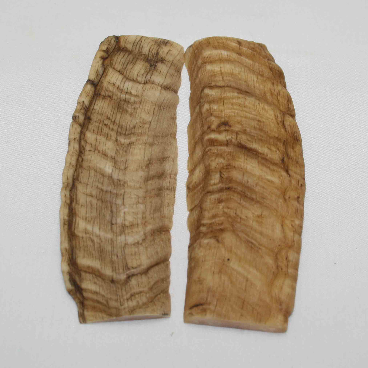 NB901NA41 Merino Ram's Horn Flat Block Scales Size 5.11" x 1.82" x 0.30" inch