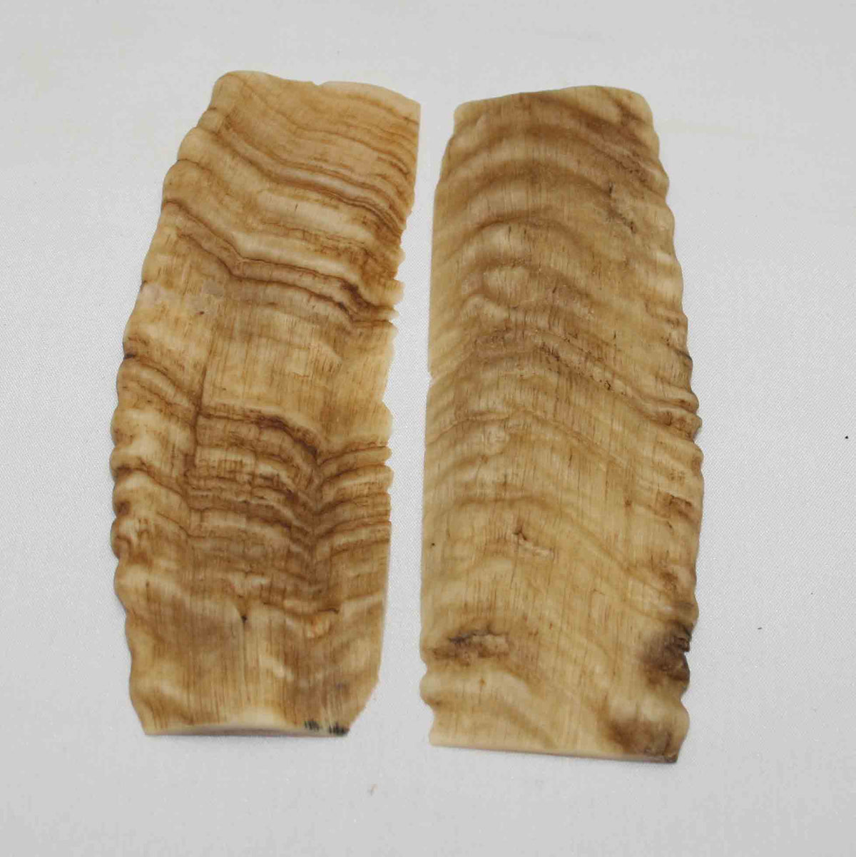 NB901NA43 Merino Ram's Horn Flat Block Scales Size 5.04" x 1.86" x 0.20" inch