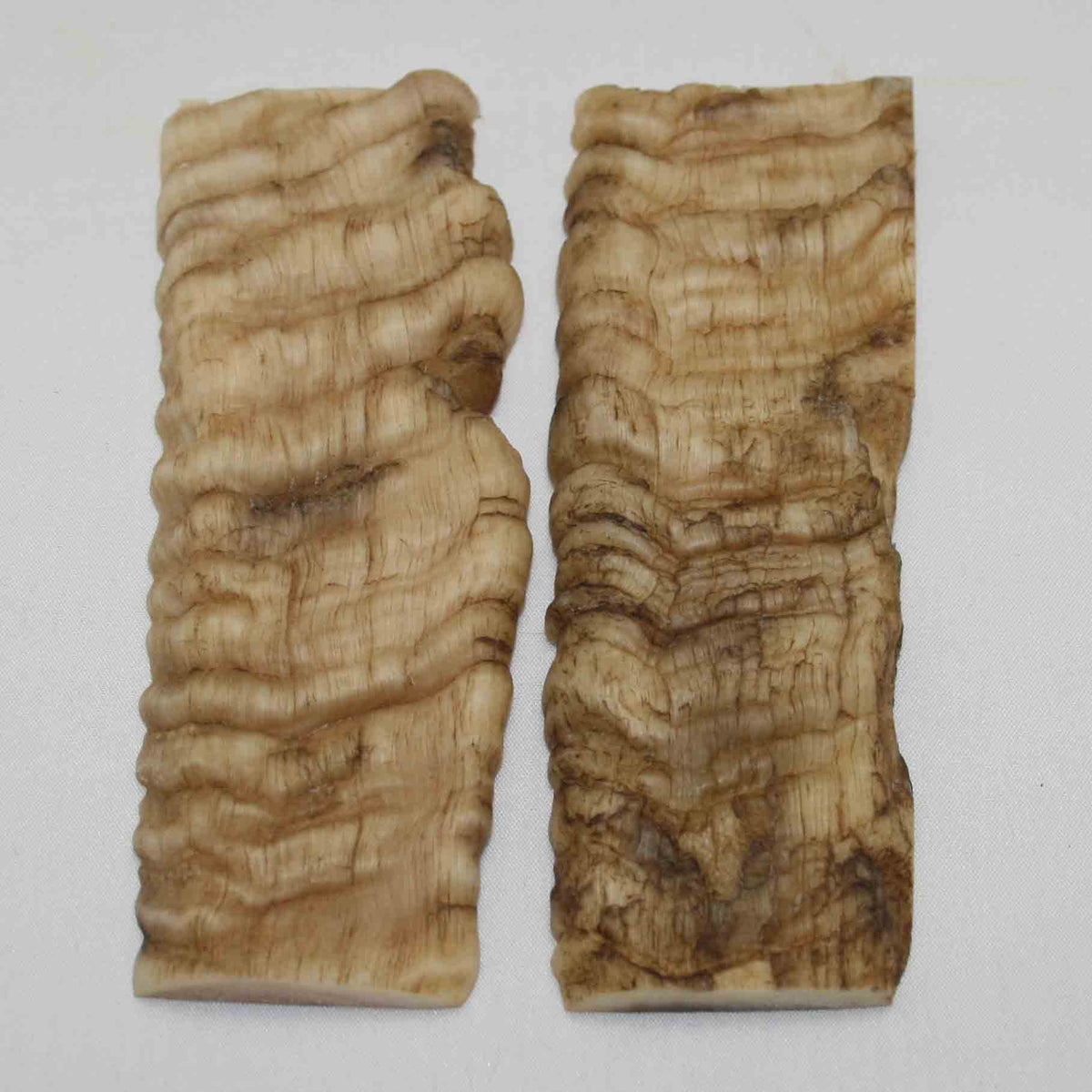 NB901NA4 Merino Ram's Horn Flat Block Scales Size 5.17" x 1.82" x 0.26" inch