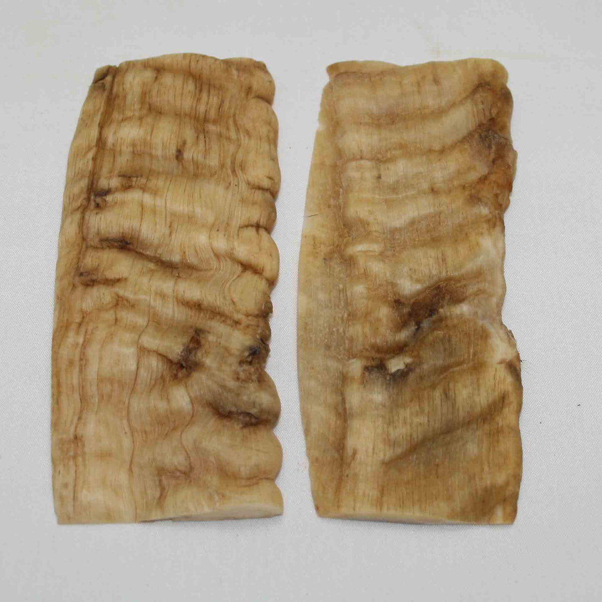 NB901NA6 Merino Ram's Horn Flat Block Scales Size 4.97" x 1.95" x 0.22" inch