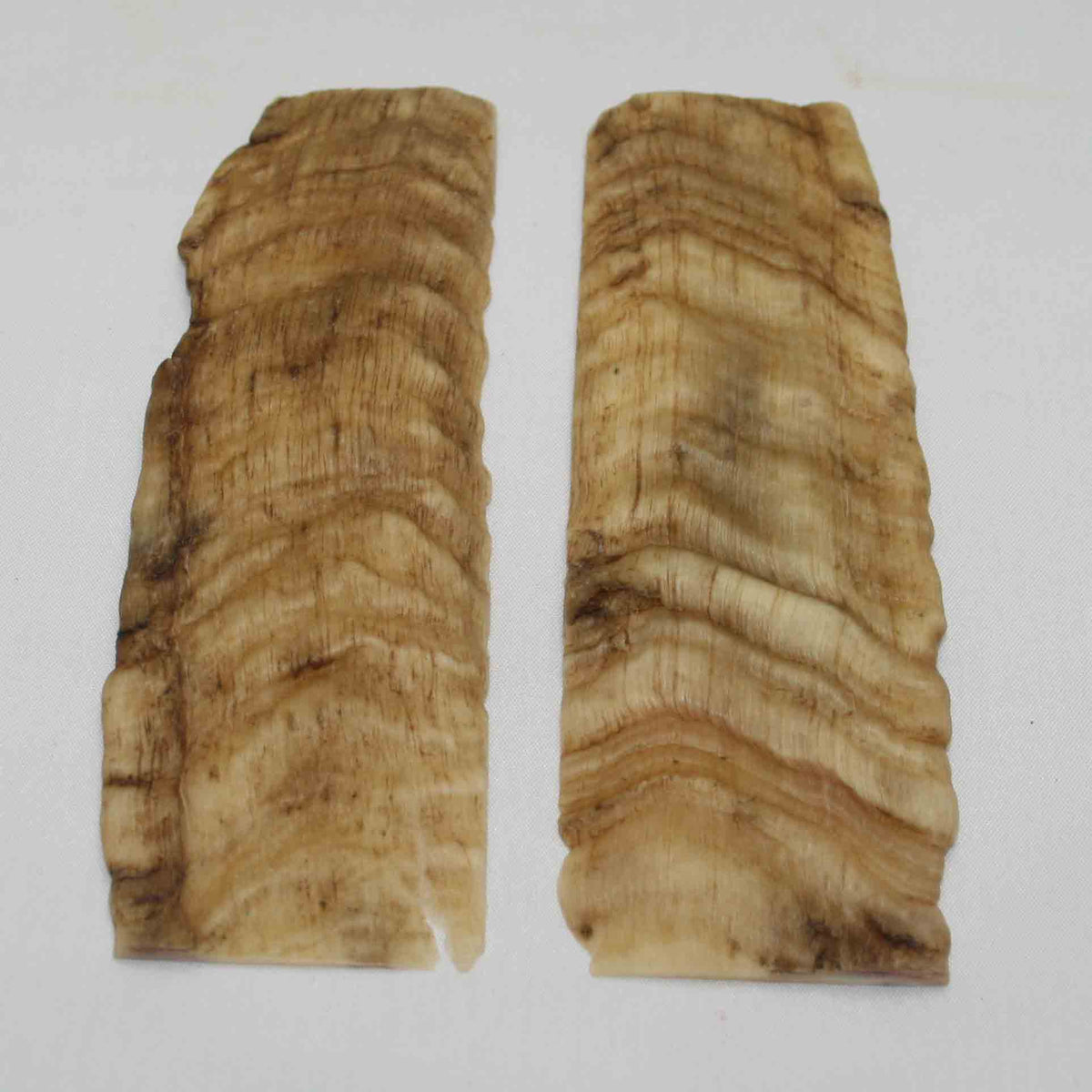 NB901NA9 Merino Ram's Horn Flat Block Scales Size 5.40" x 1.81" x 0.15" inch
