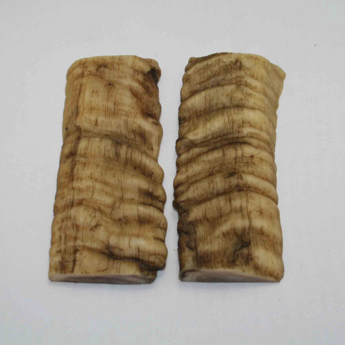 NB902JS10 Merino Ram Horn Scales LARGE