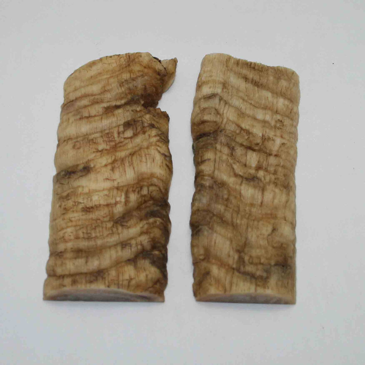 NB902JS18 Merino Ram Horn Scales LARGE