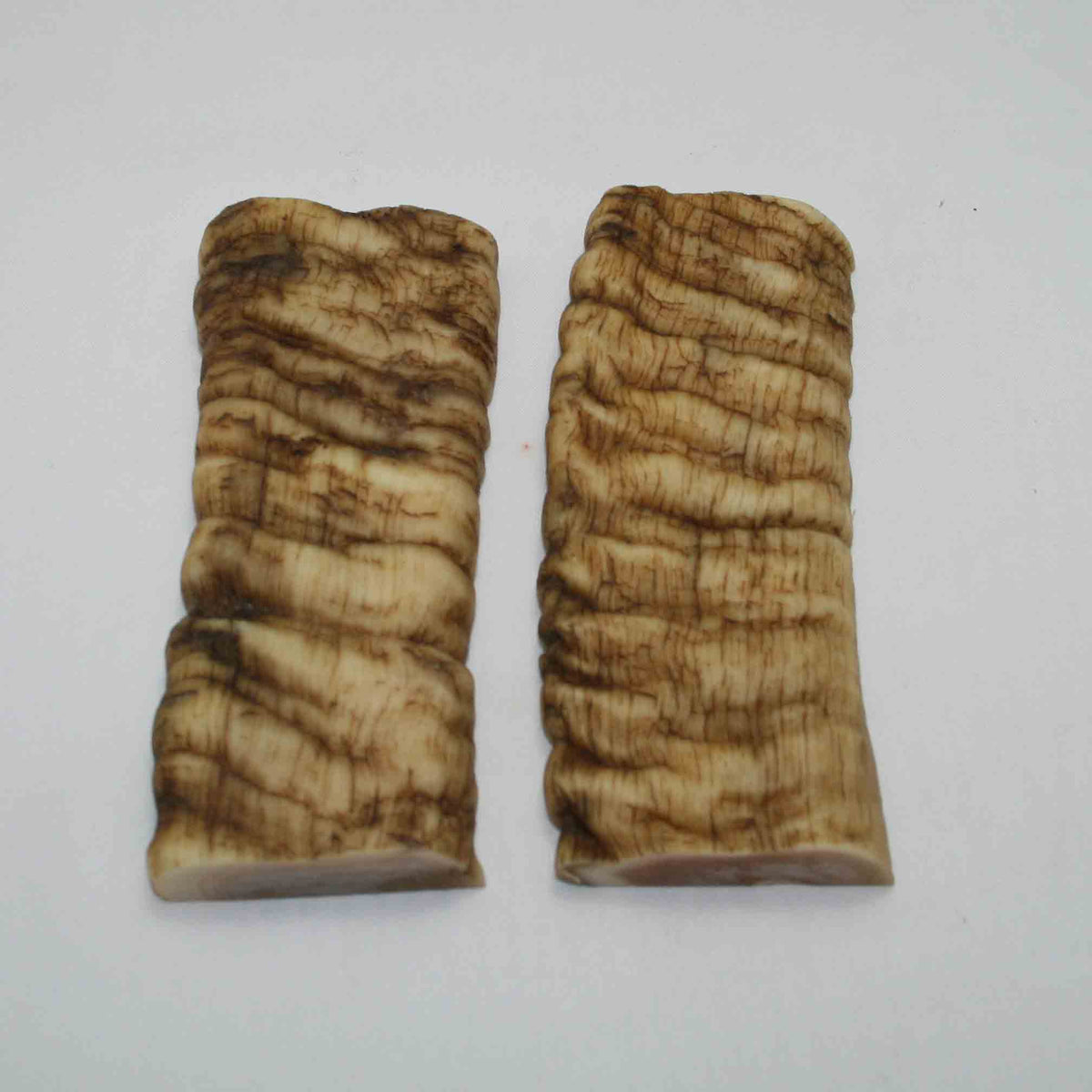 NB902JS19 Merino Ram Horn Scales LARGE