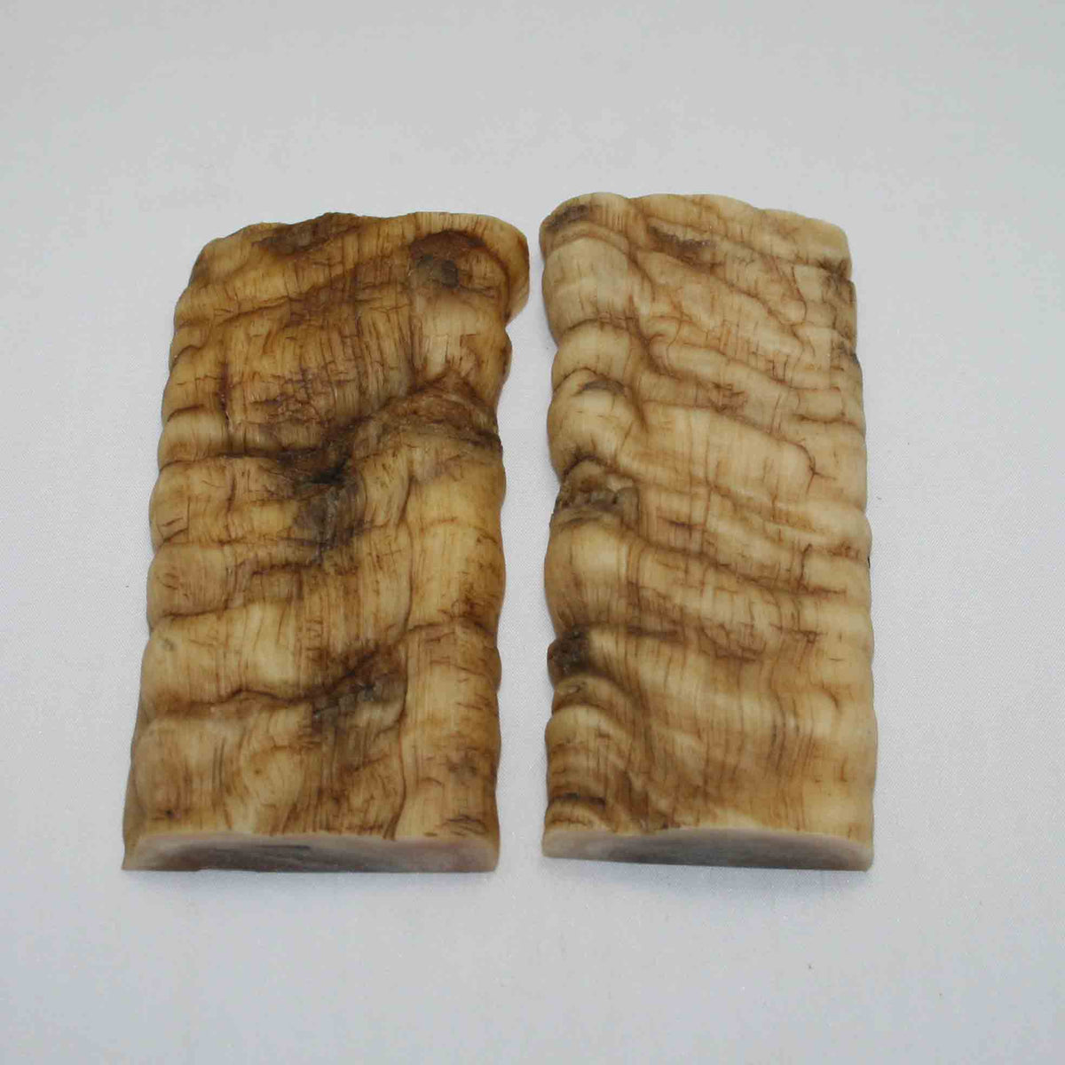 NB902JS22 Merino Ram Horn Scales LARGE