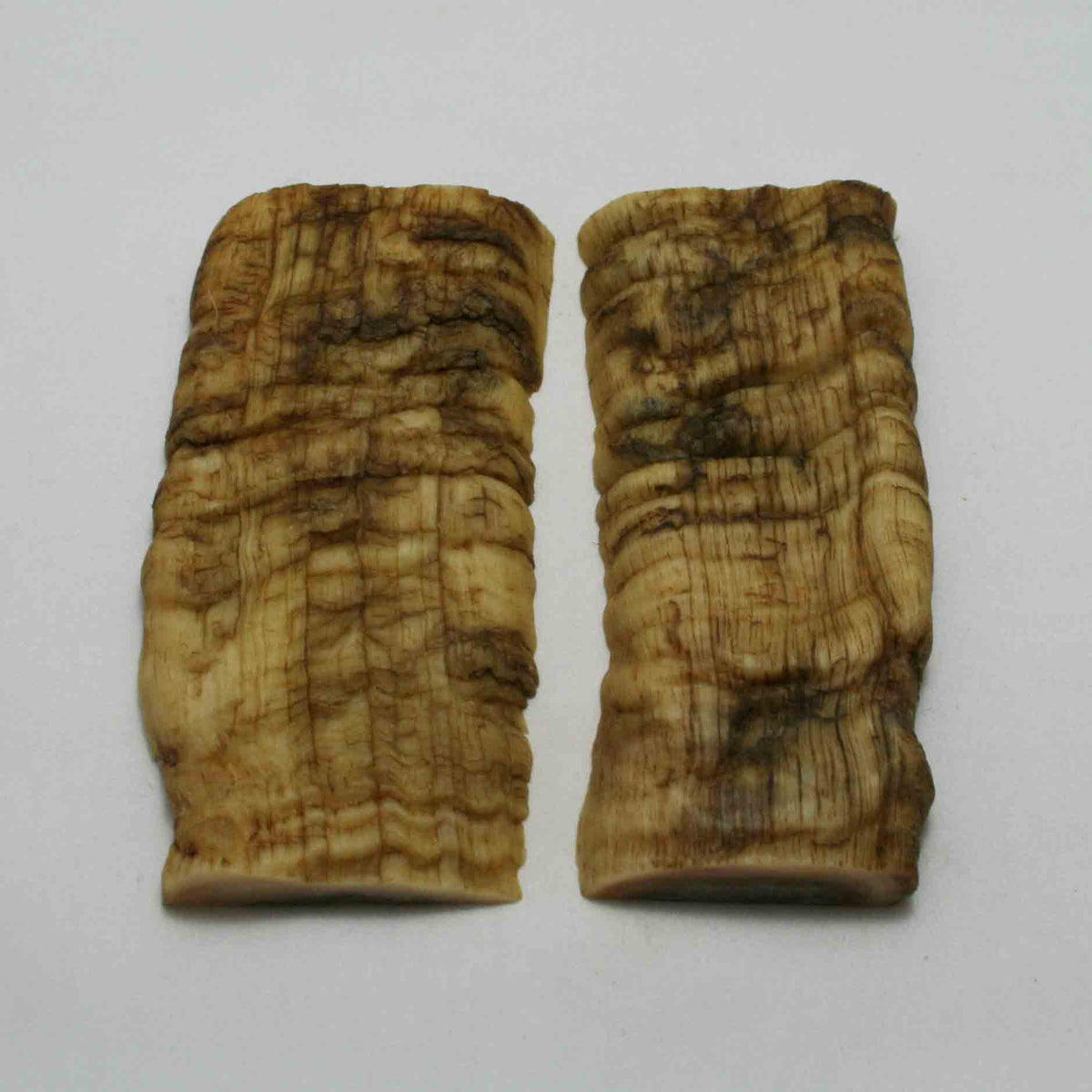 NB902JS26 Merino Ram Horn Scales LARGE