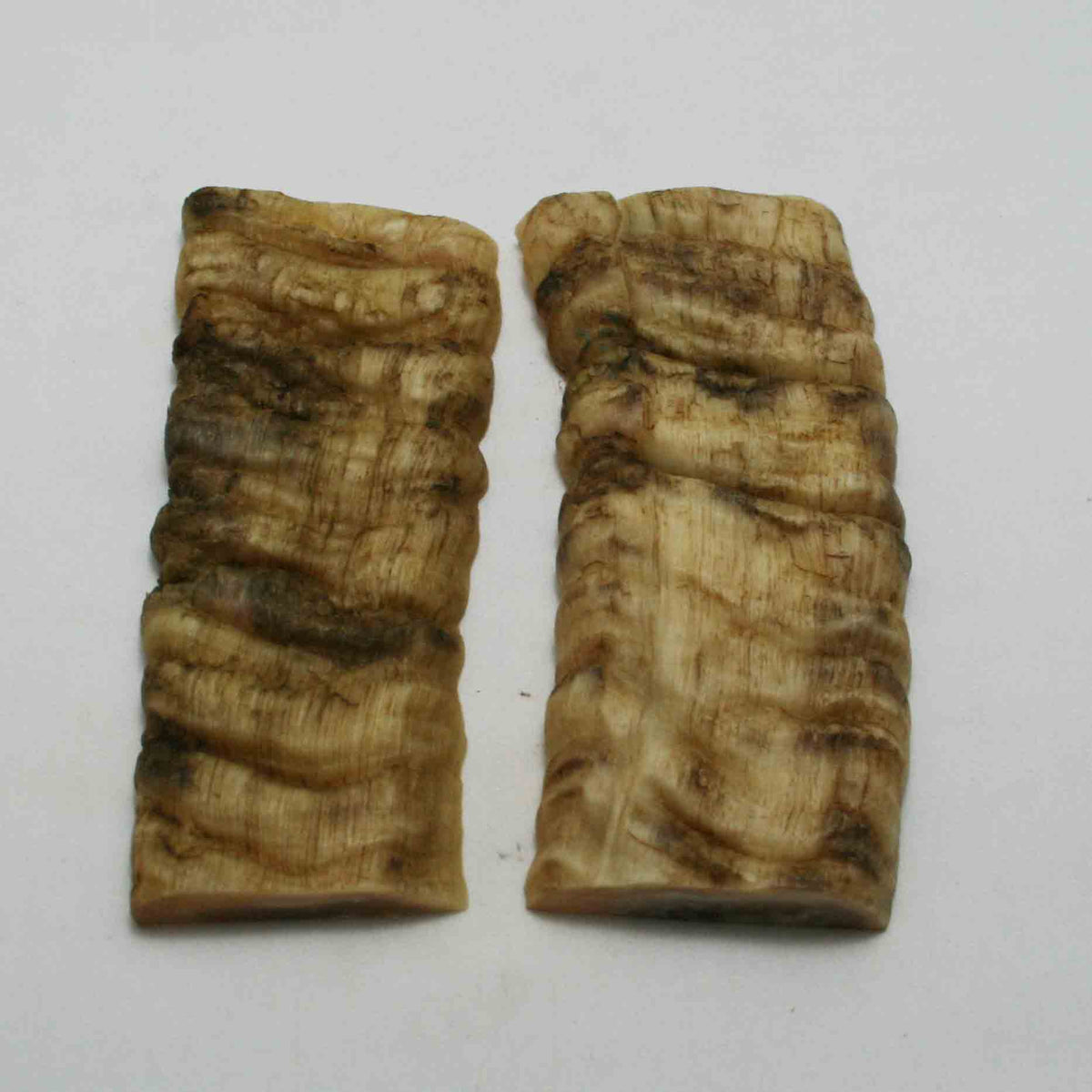 NB902JS27 Merino Ram Horn Scales LARGE