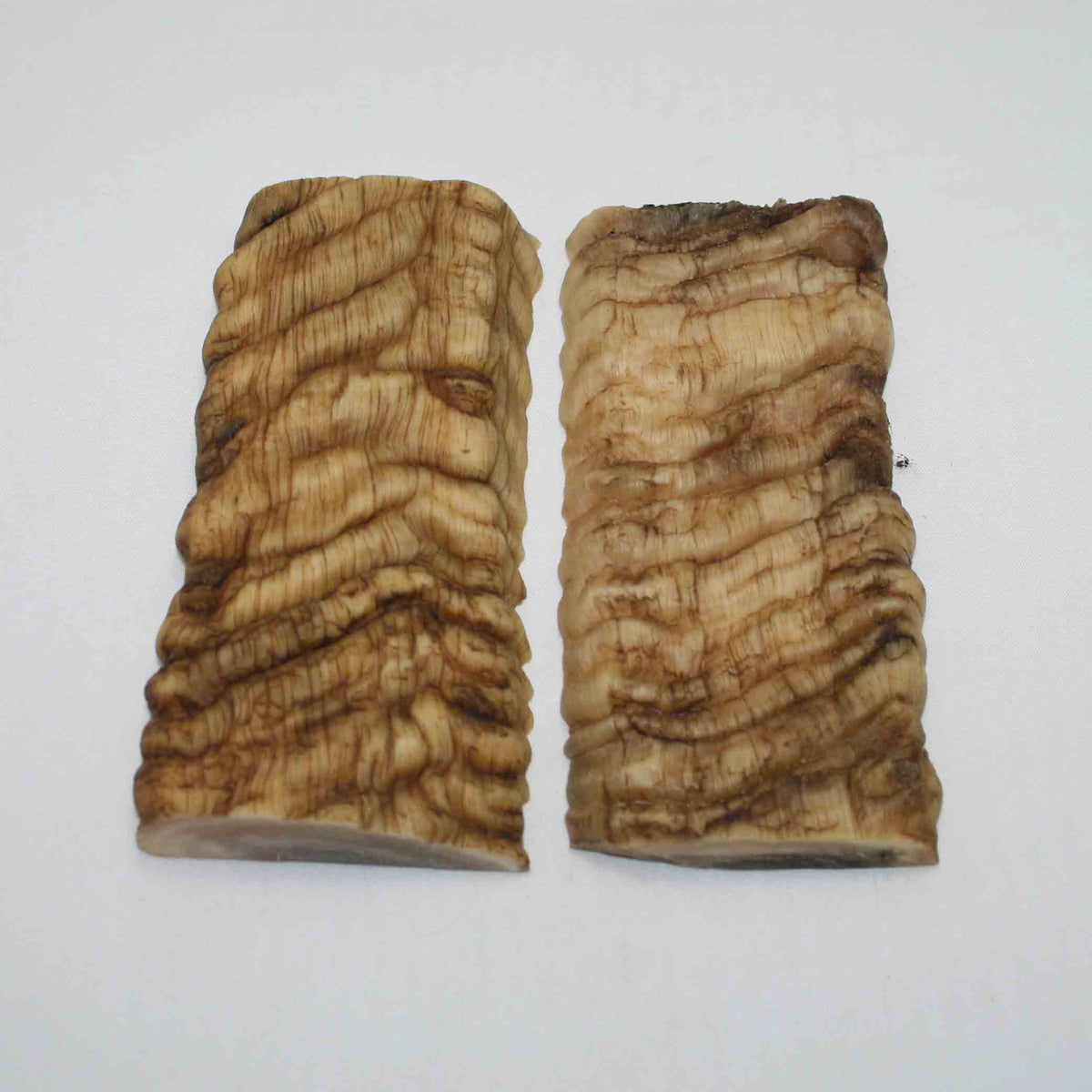 NB902JS28 Merino Ram Horn Scales LARGE