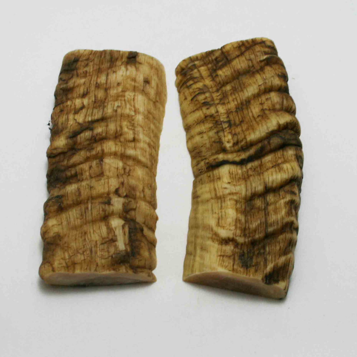 NB902JS29 Merino Ram Horn Scales LARGE