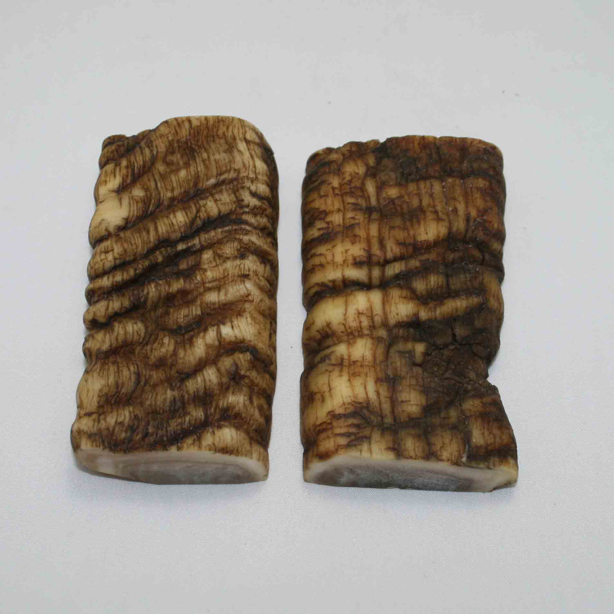 NB902JS30 Merino Ram Horn Scales LARGE