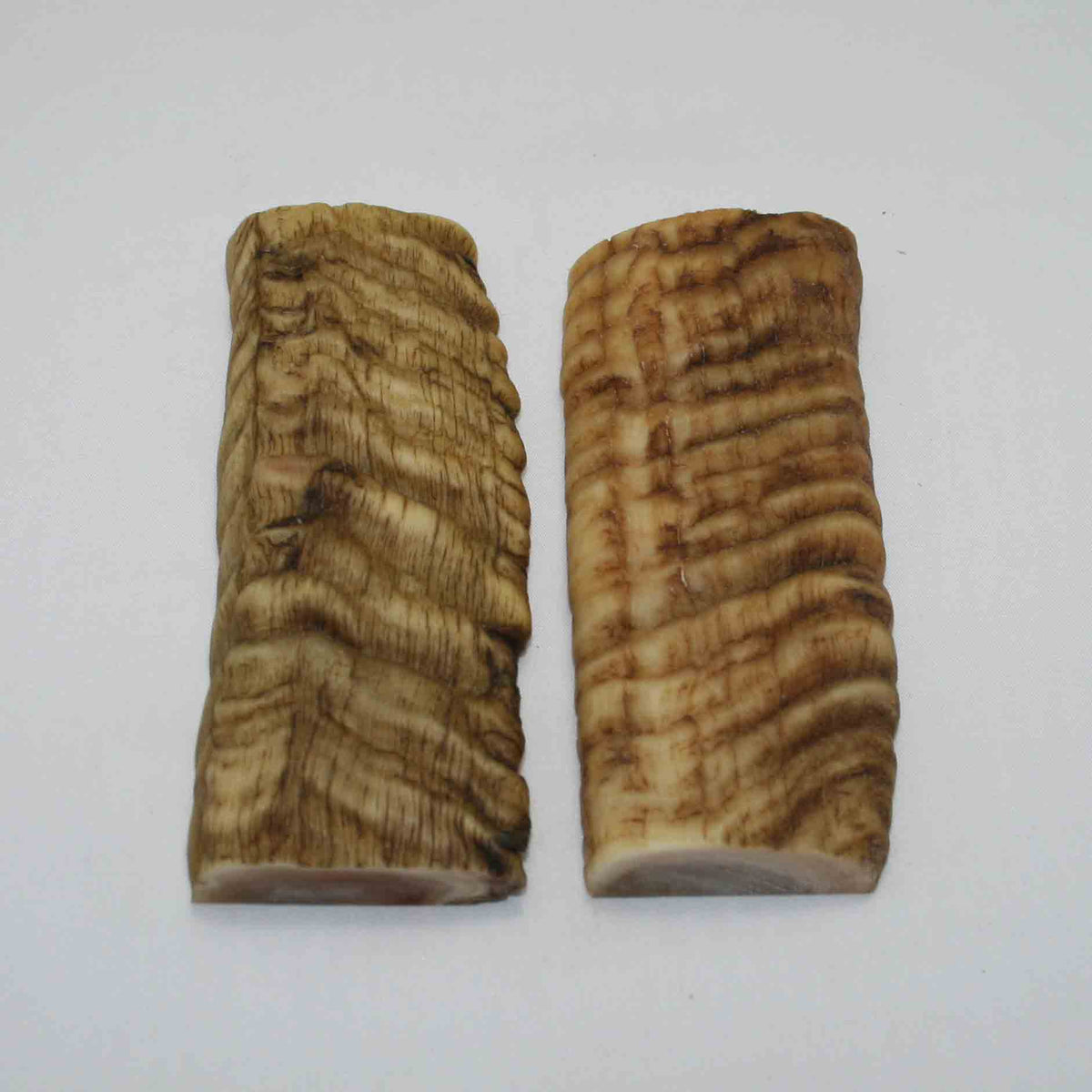 NB902JS31 Merino Ram Horn Scales LARGE