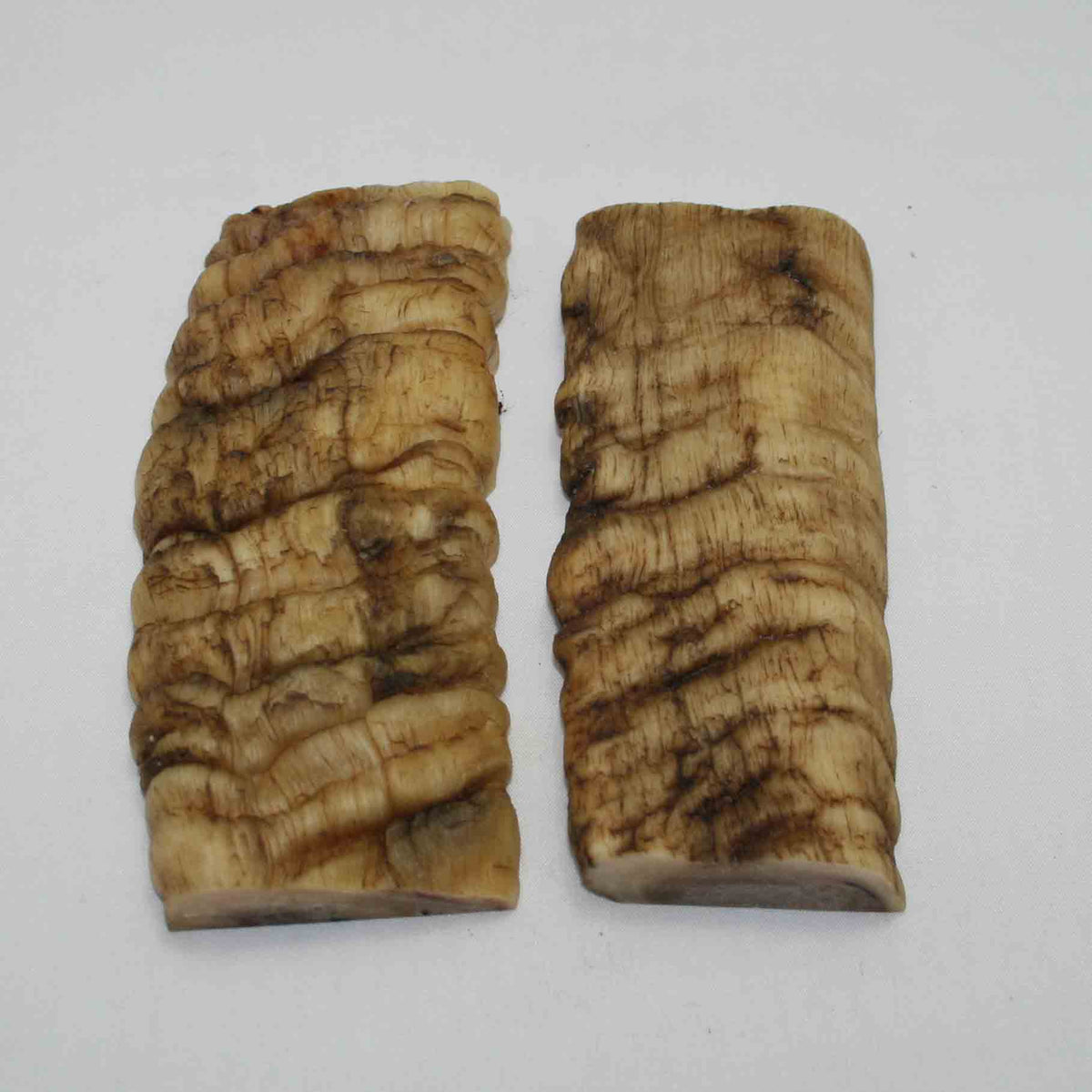 NB902JS35 Merino Ram Horn Scales LARGE