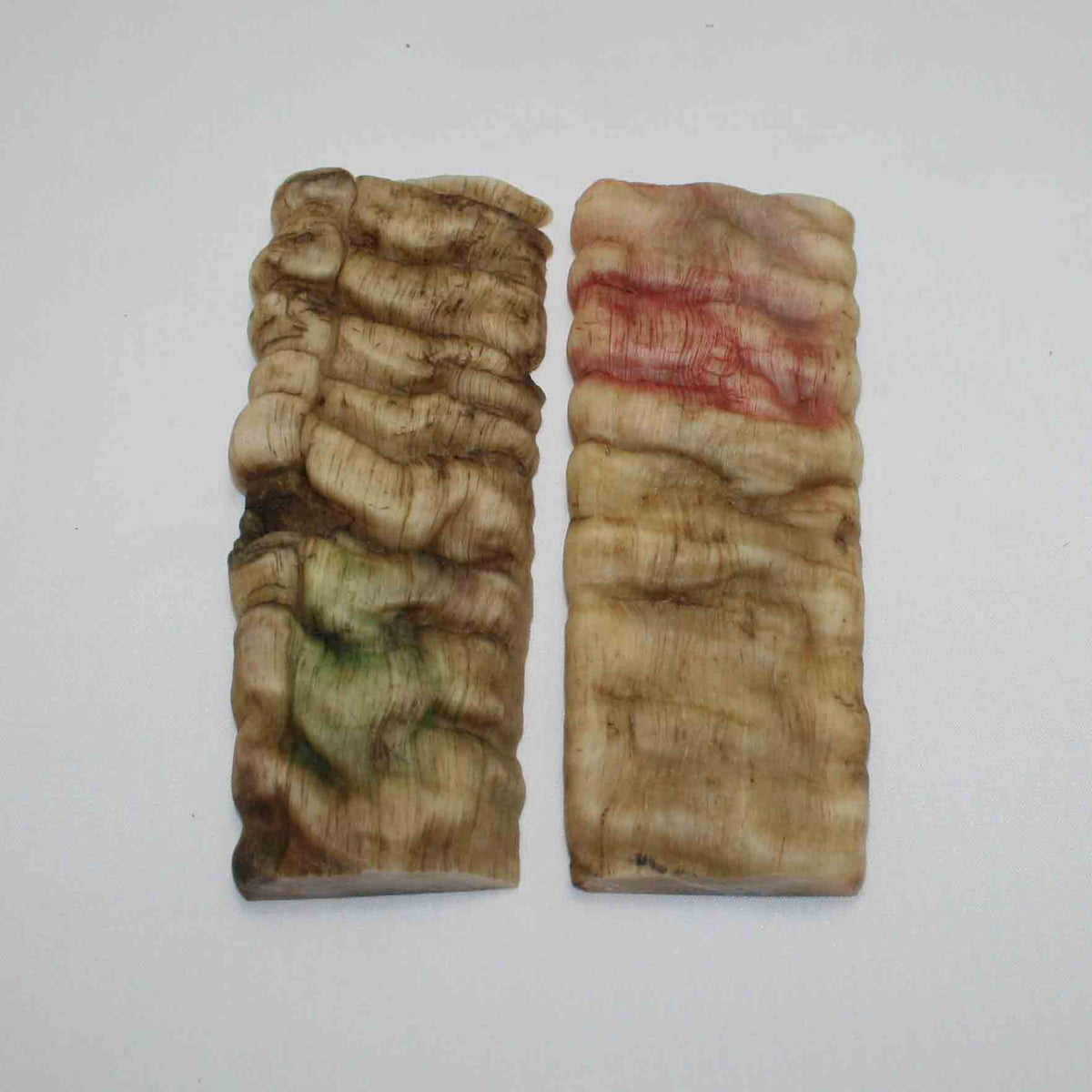 NB902JS38 Merino Ram Horn Scales LARGE