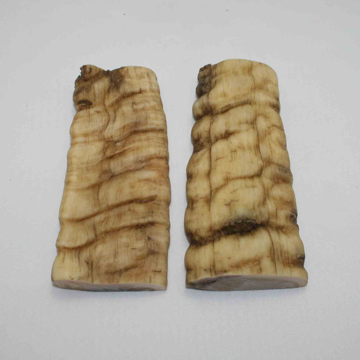 NB902JS42 Merino Ram Horn Scales LARGE