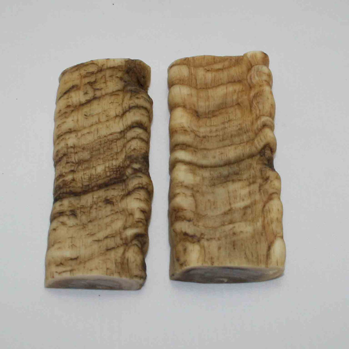 NB902JS43 Merino Ram Horn Scales LARGE