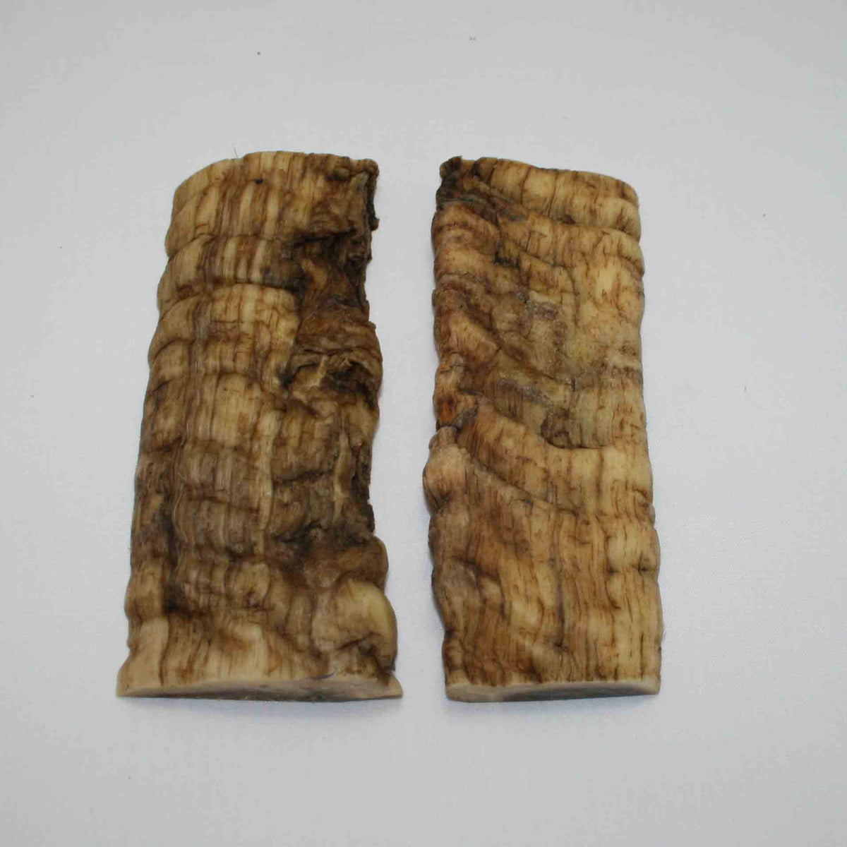 NB902JS47 Merino Ram Horn Scales LARGE