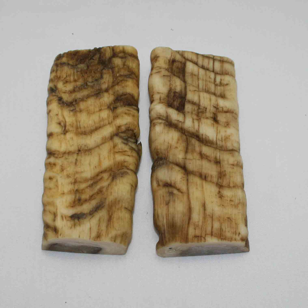 NB902JS49 Merino Ram Horn Scales LARGE