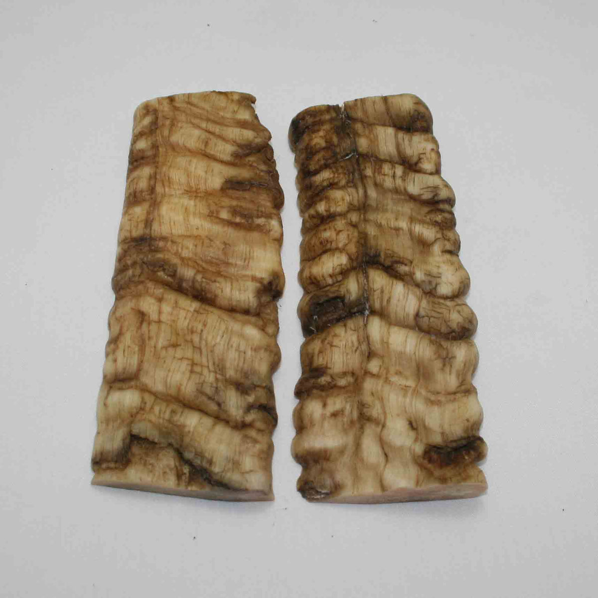 NB902JS51 Merino Ram Horn Scales LARGE