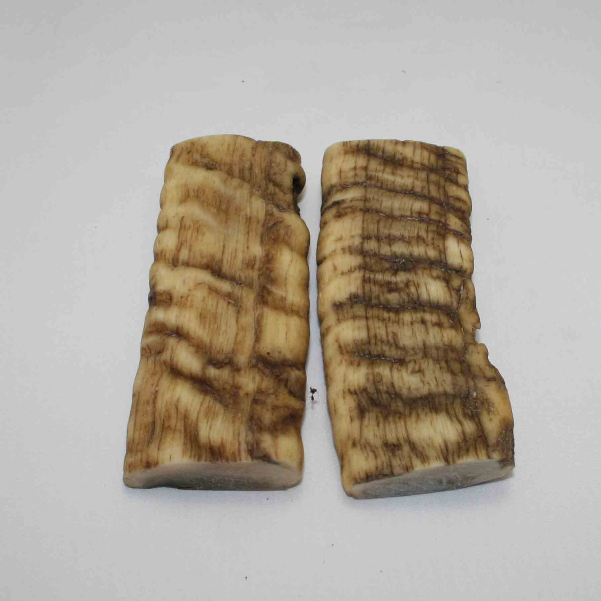 NB902JS54 Merino Ram Horn Scales LARGE