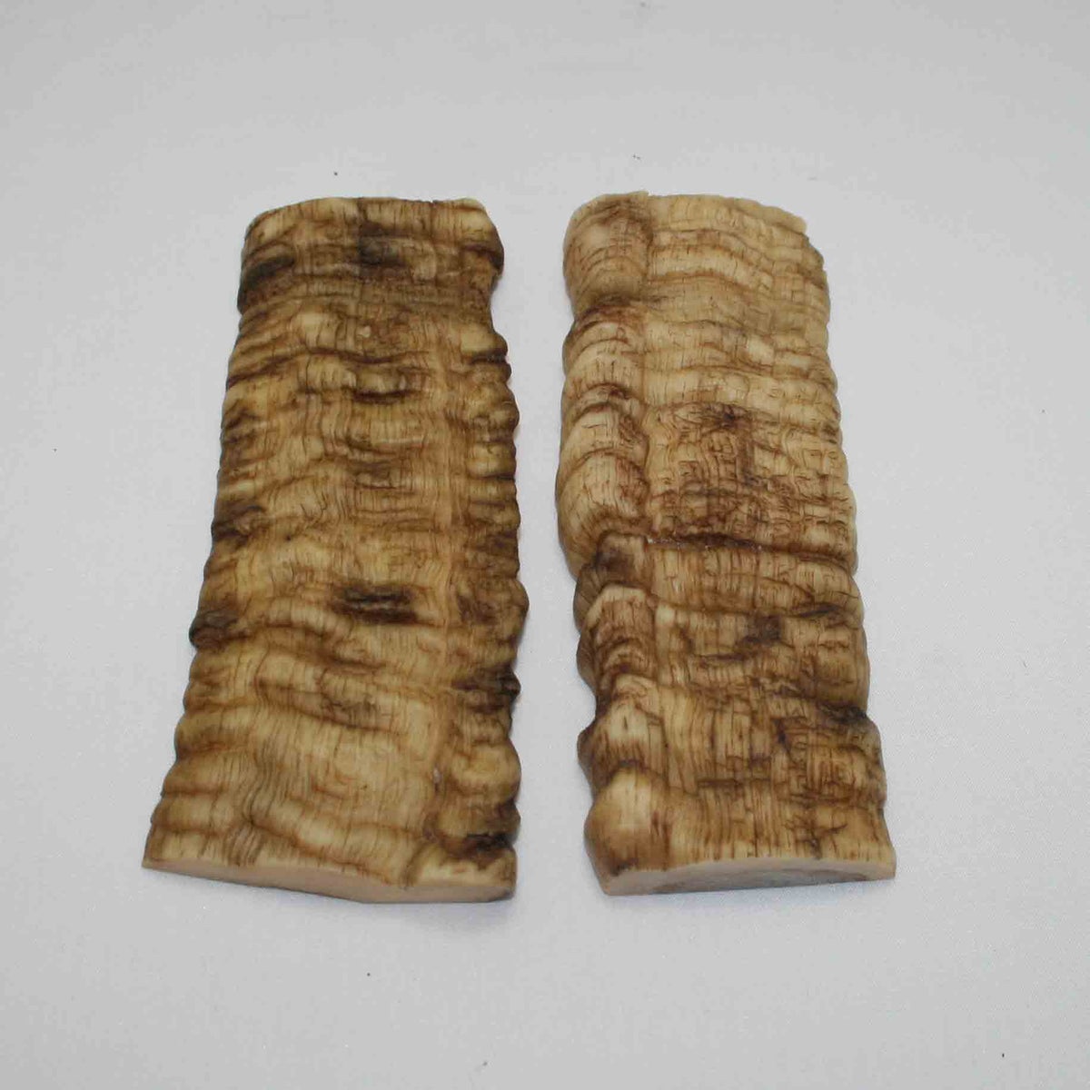 NB902JS55 Merino Ram Horn Scales LARGE