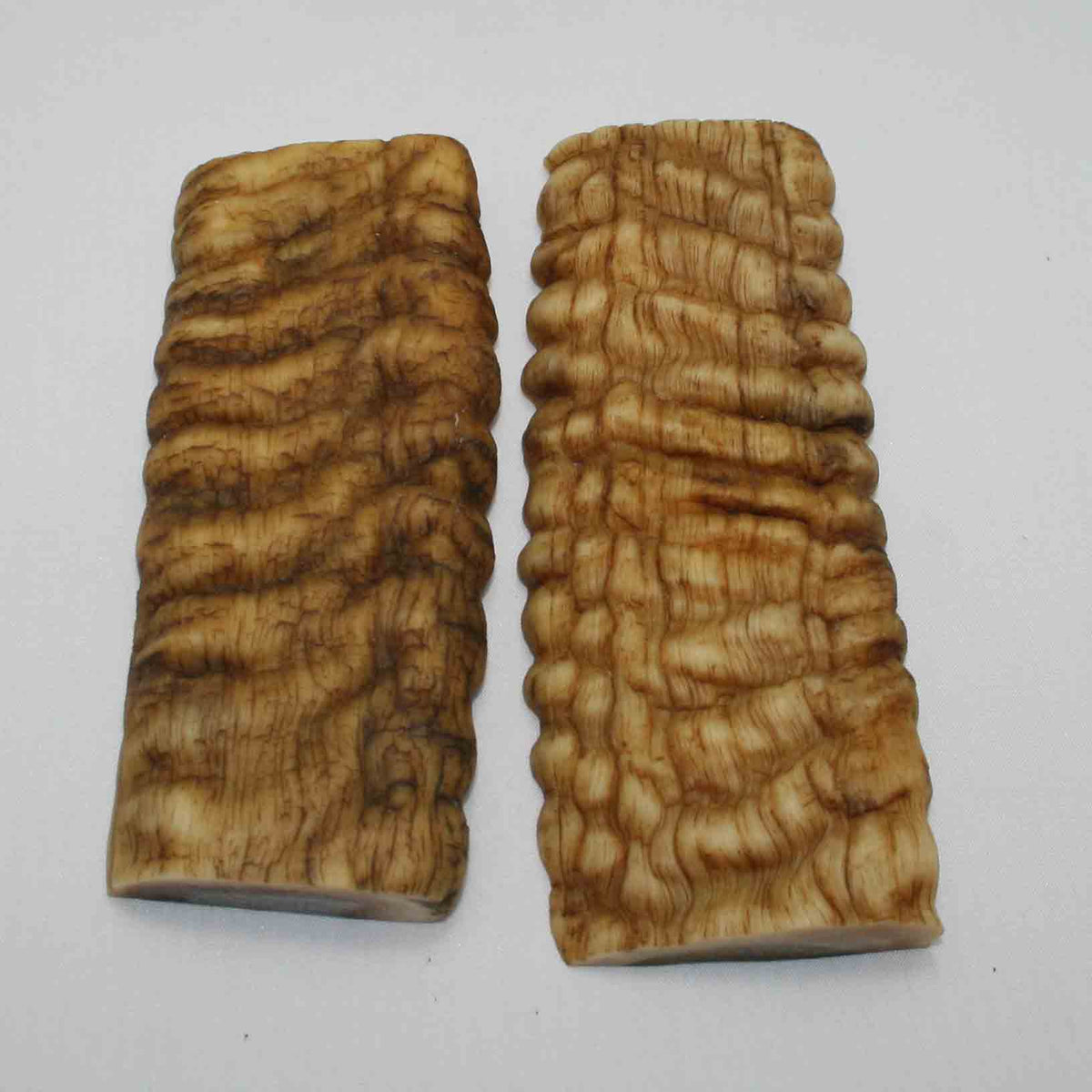 NB902JS56 Merino Ram Horn Scales LARGE