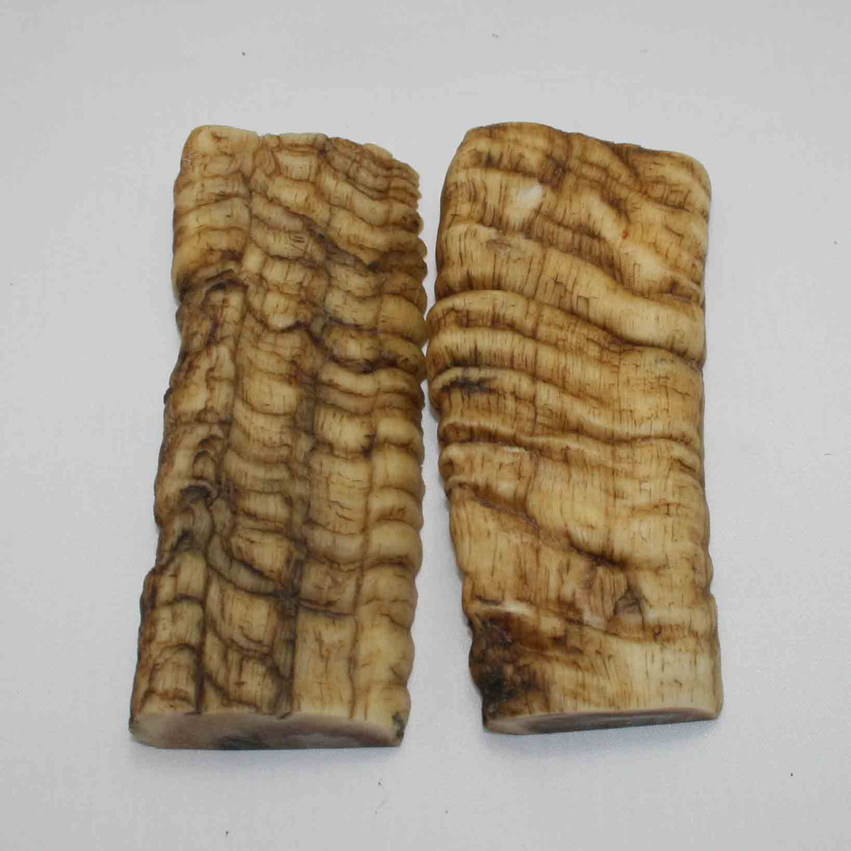 NB902JS57 Merino Ram Horn Scales LARGE