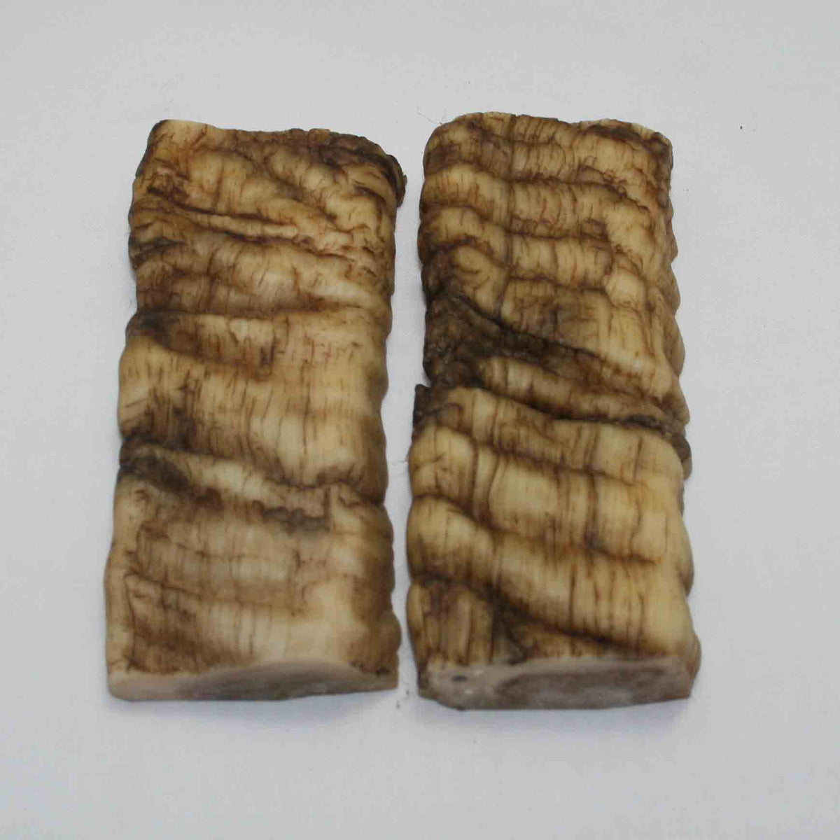 NB902JS5 Merino Ram Horn Scales LARGE