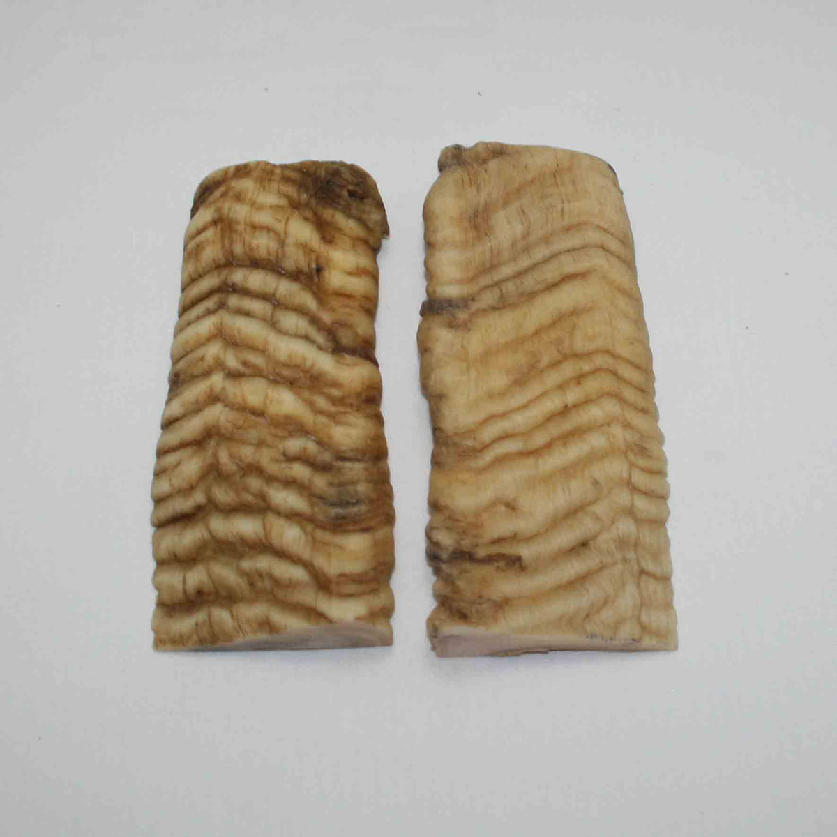 NB902JS68 Merino Ram Horn Scales LARGE