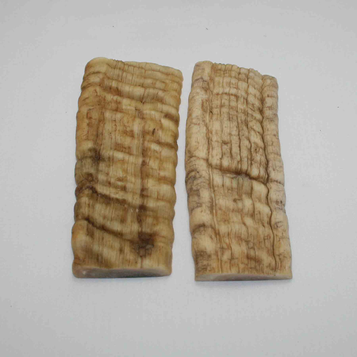 NB902JS69 Merino Ram Horn Scales LARGE