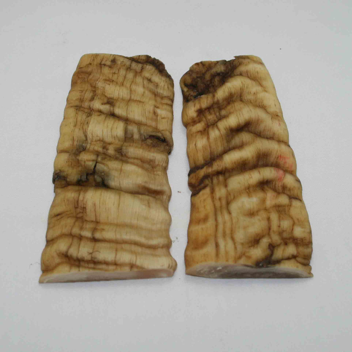 NB902JS6 Merino Ram Horn Scales LARGE