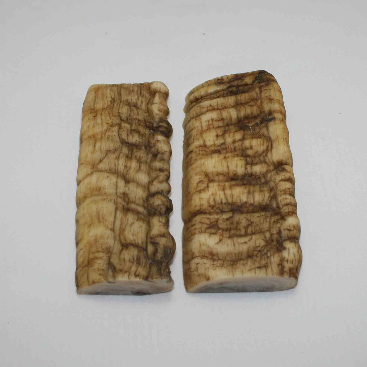 NB902JS74 Merino Ram Horn Scales LARGE