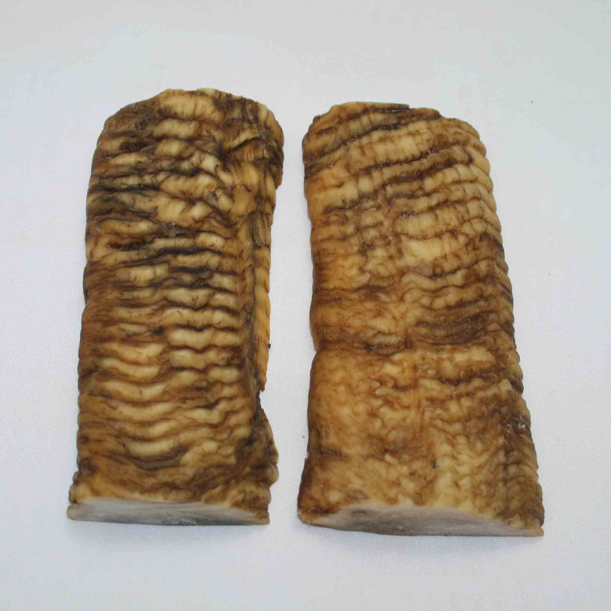 NB902JS8 Merino Ram Horn Scales LARGE