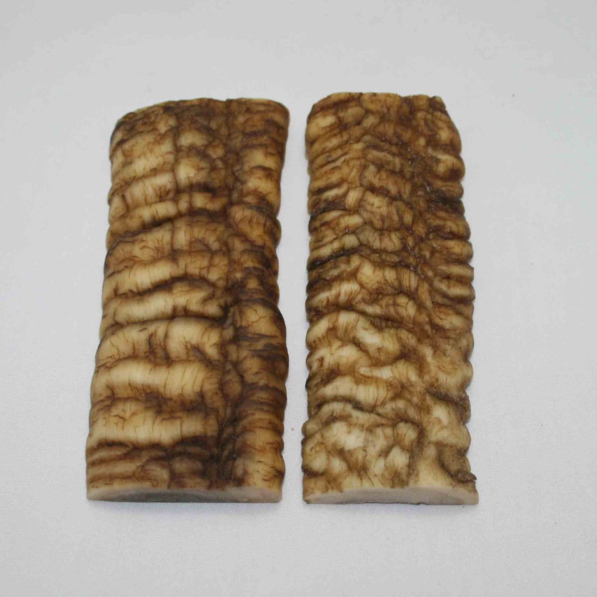 NB902JS9 Merino Ram Horn Scales LARGE