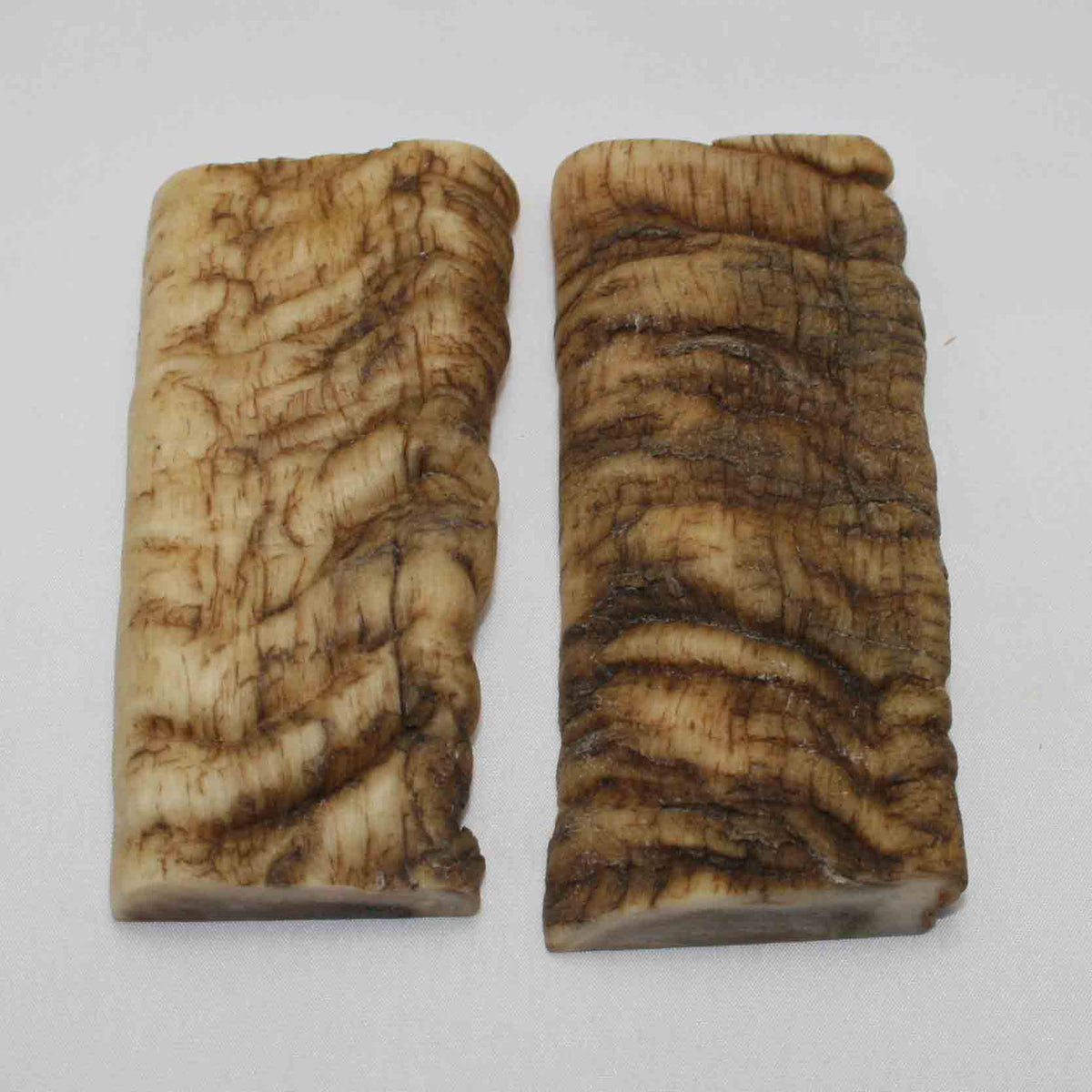 NB902LG12 Merino Ram Horn Scales LARGE