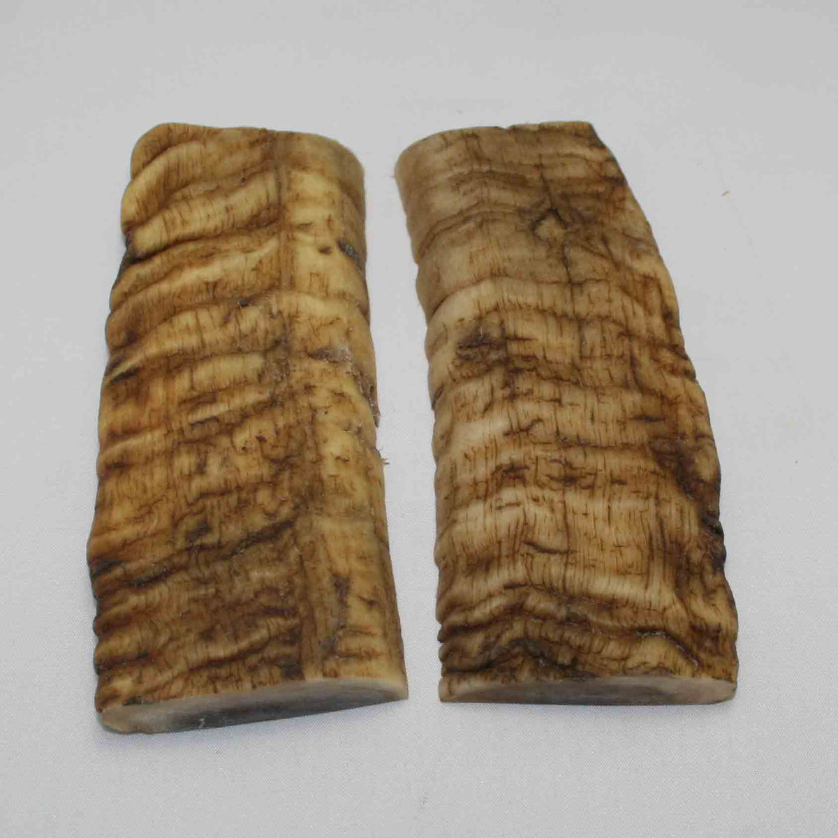 NB902LG13 Merino Ram Horn Scales LARGE