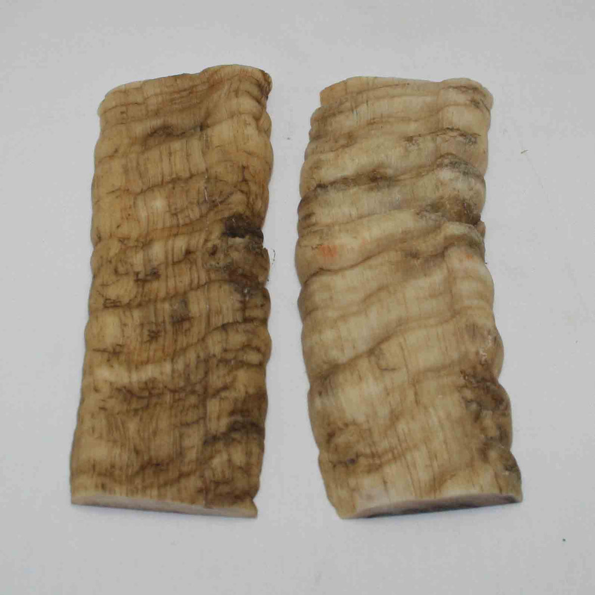NB902LG14 Merino Ram Horn Scales LARGE