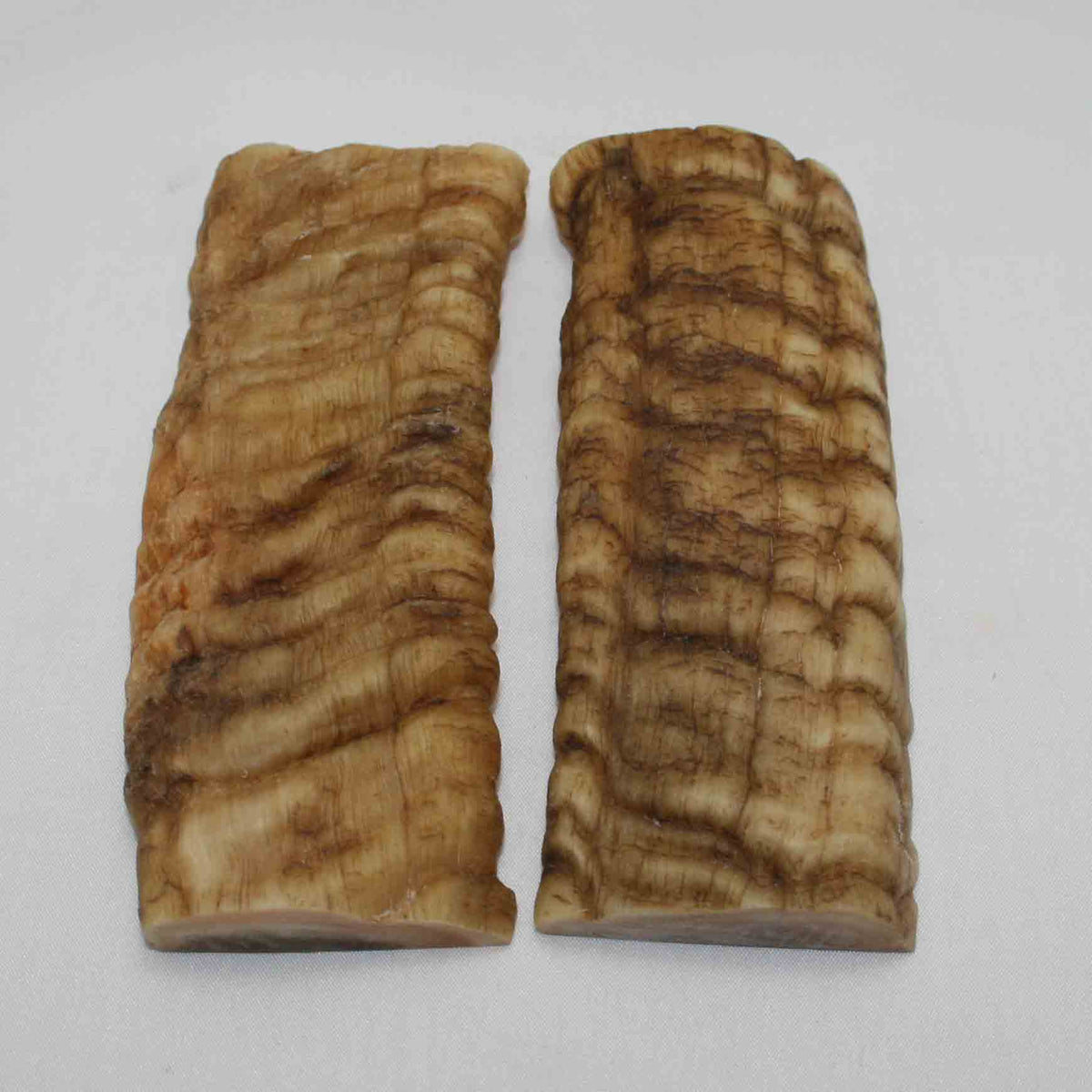 NB902LG20 Merino Ram Horn Scales LARGE