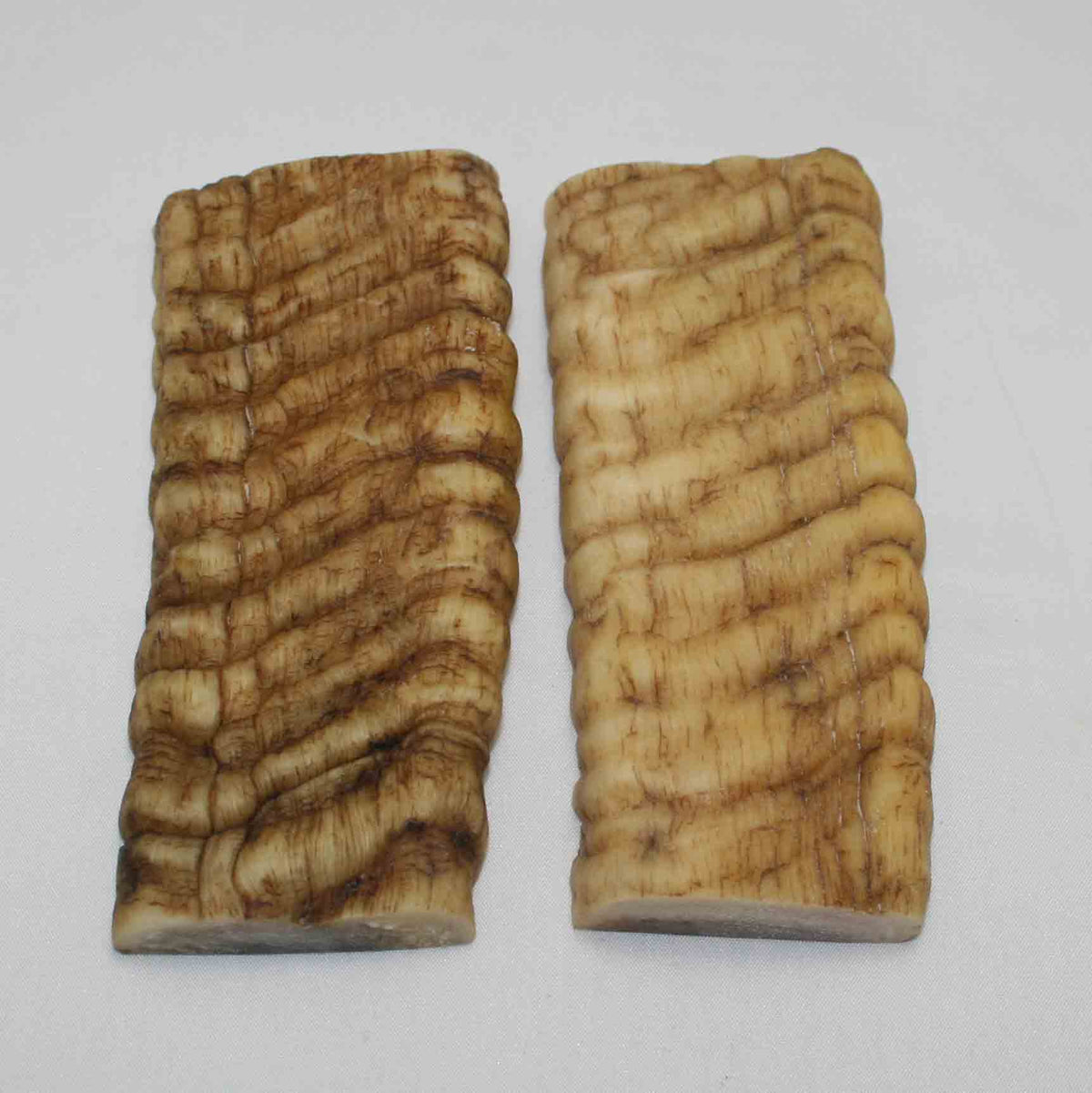 NB902LG24 Merino Ram Horn Scales LARGE