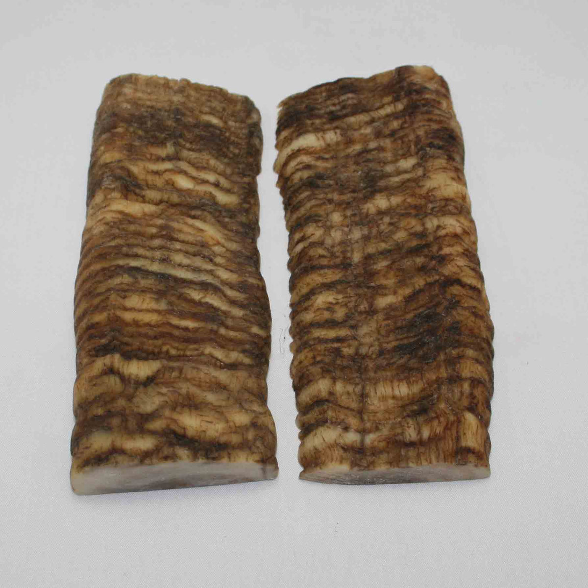 NB902LG26 Merino Ram Horn Scales LARGE