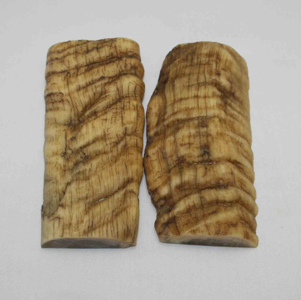 NB902LG28 Merino Ram Horn Scales LARGE